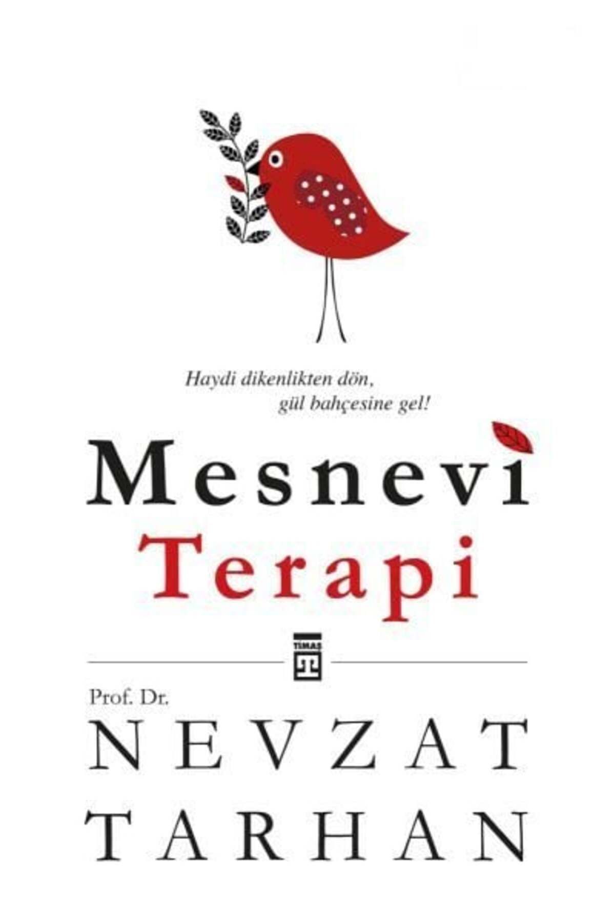 Destek Yayınları Mesnevi Terapi
