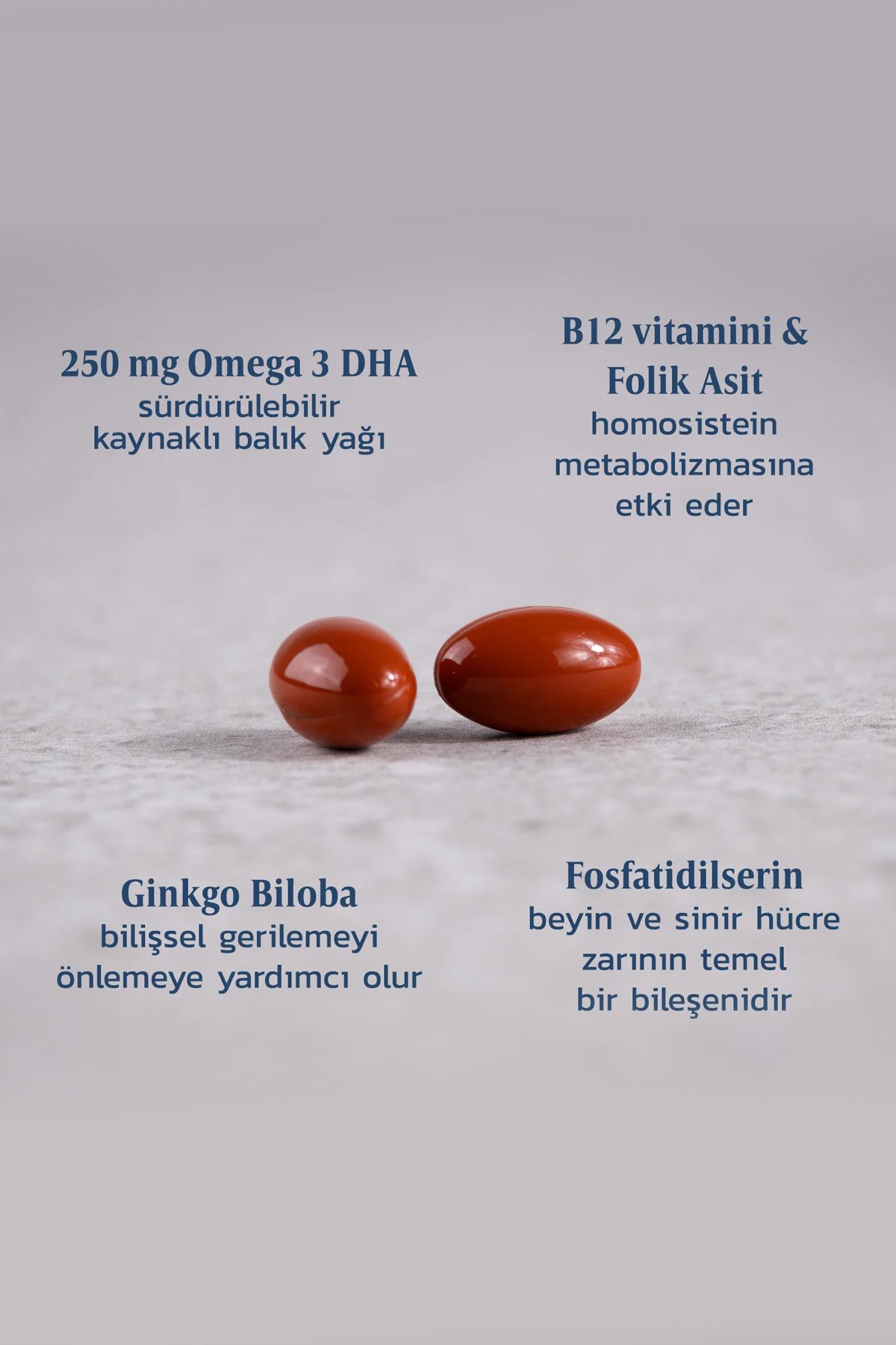 Efamol-Active Memory 30 Herbal Capsules 3