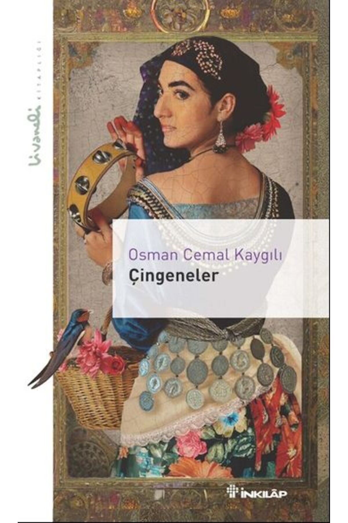 Destek Yayınları Çingeneler Livaneli Kitaplığı