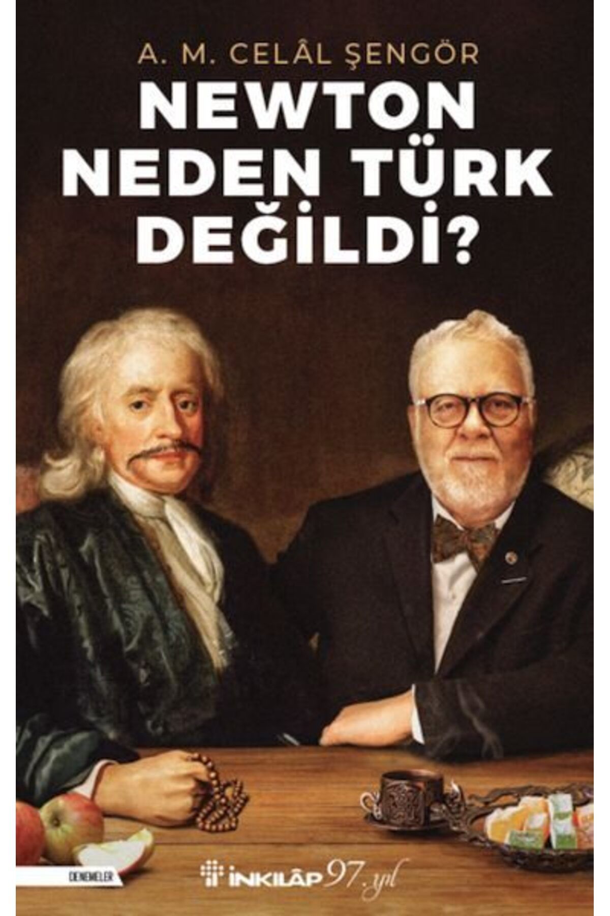 Destek Yayınları Newton Neden Türk Değildi