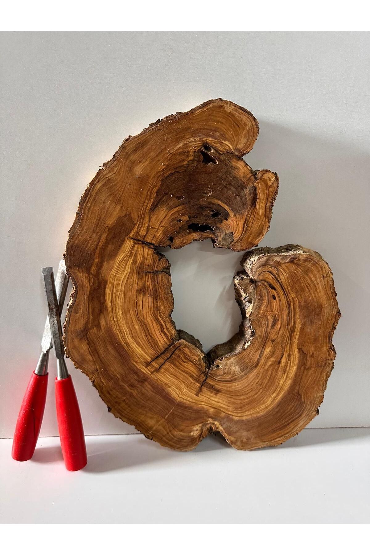 egeswood Zeytin Ağacı Gövde Kereste