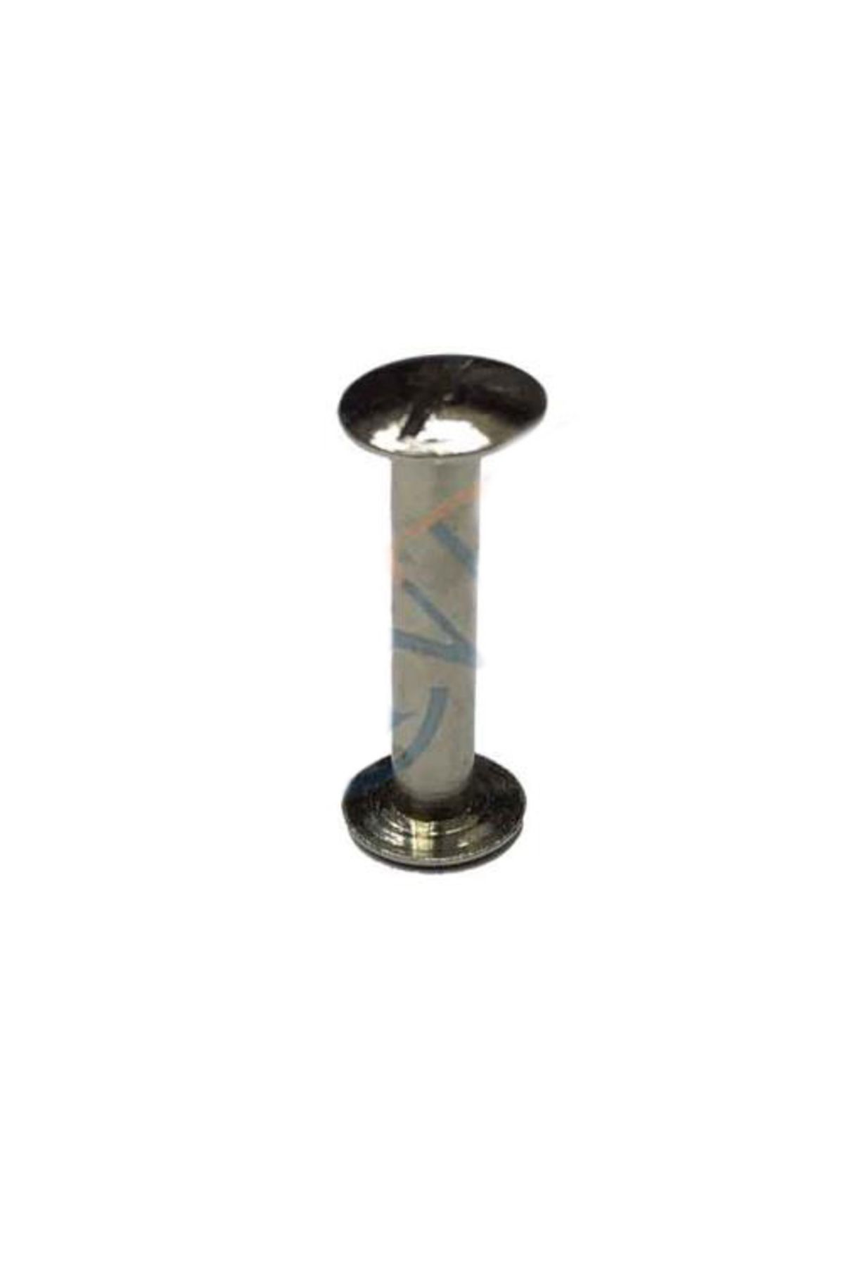 Skygo Cilt Menü, Katalog, Kartela Vidası, 20 mm - Nikel, 1 Adet