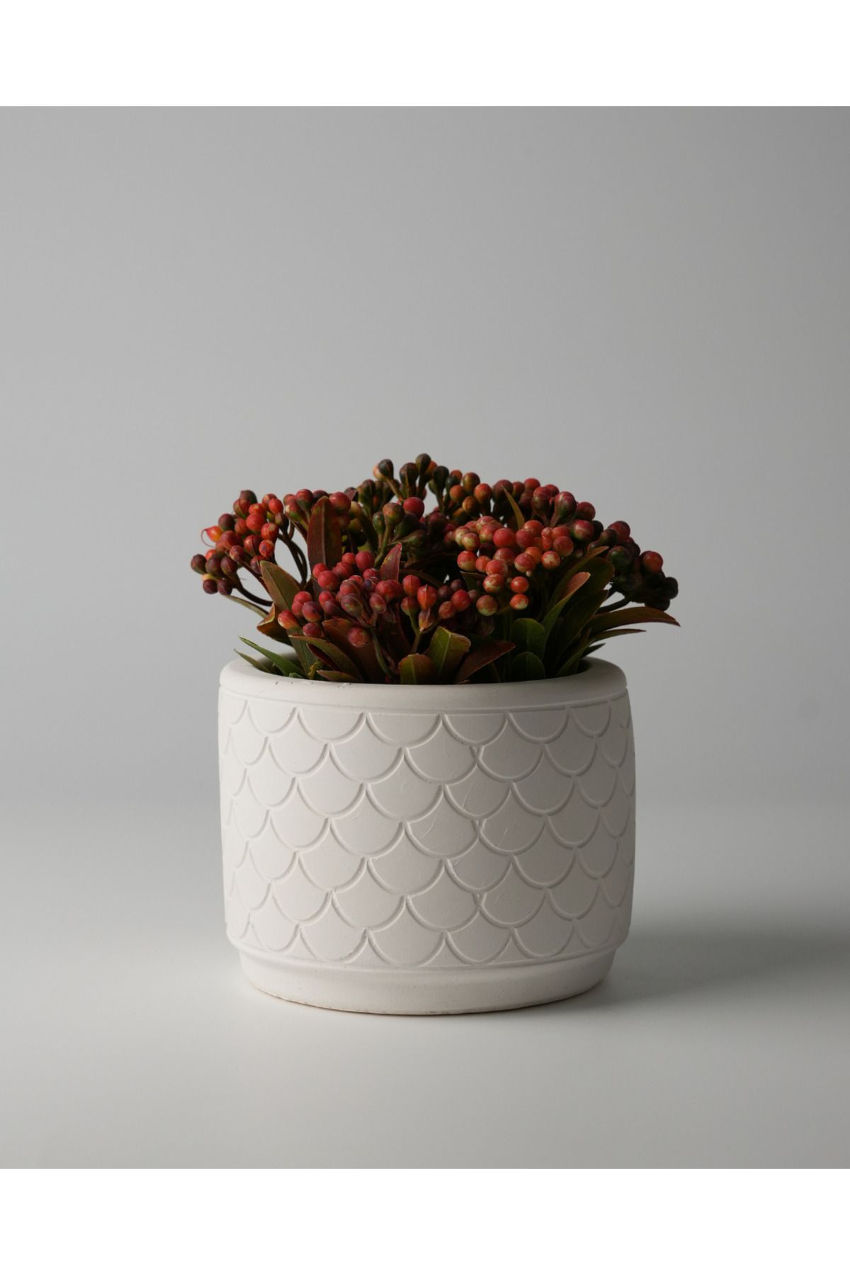 Kaju Creative Dekoratif Beton Saksı - Balık Pulu 8x10 0.25L Küçük Boy Saksı