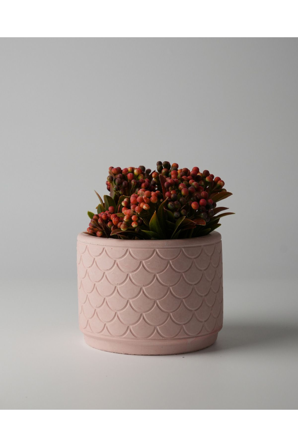Kaju Creative Dekoratif Beton Saksı - Balık Pulu 8x10 0.25L Küçük Boy Saksı