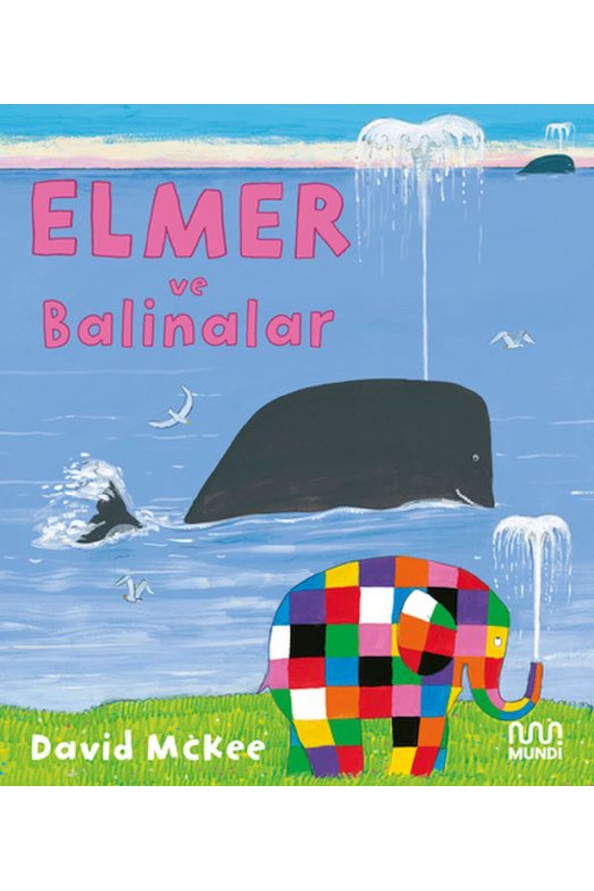 Destek Yayınları Elmer ve Balinalar