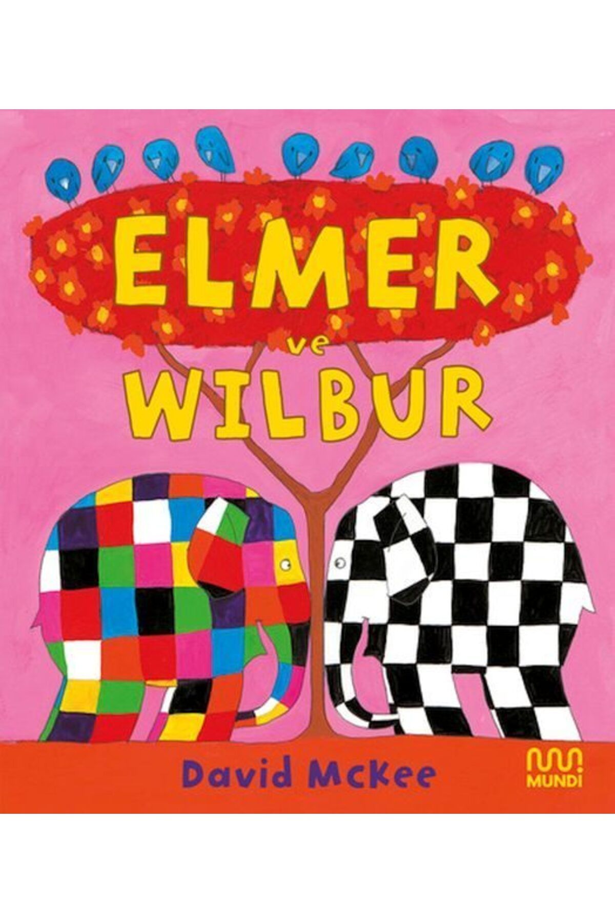 Destek Yayınları Elmer ve Wilbur