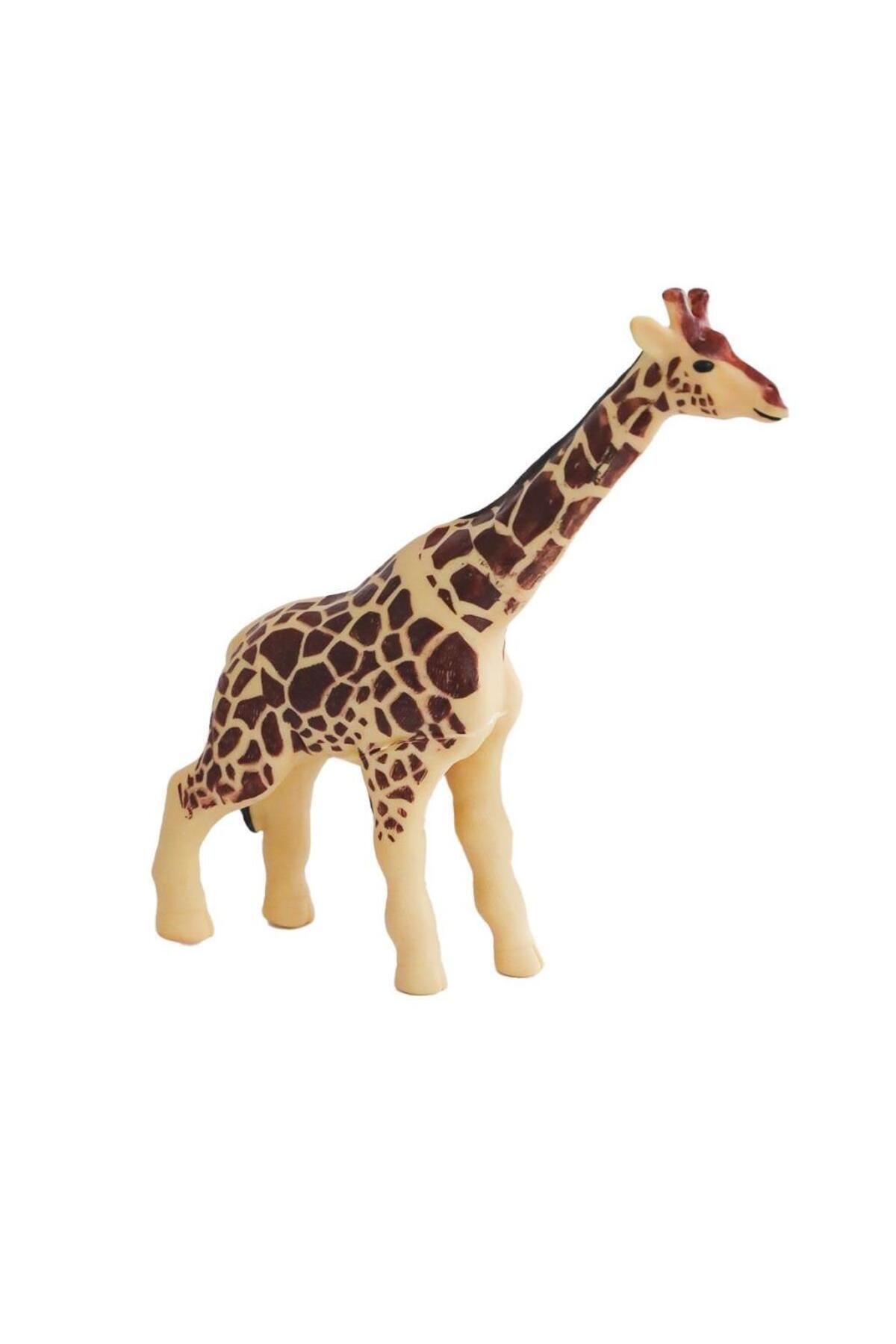 Skygo 9984-1 4 Soft Hayvanlar -Birliktoys