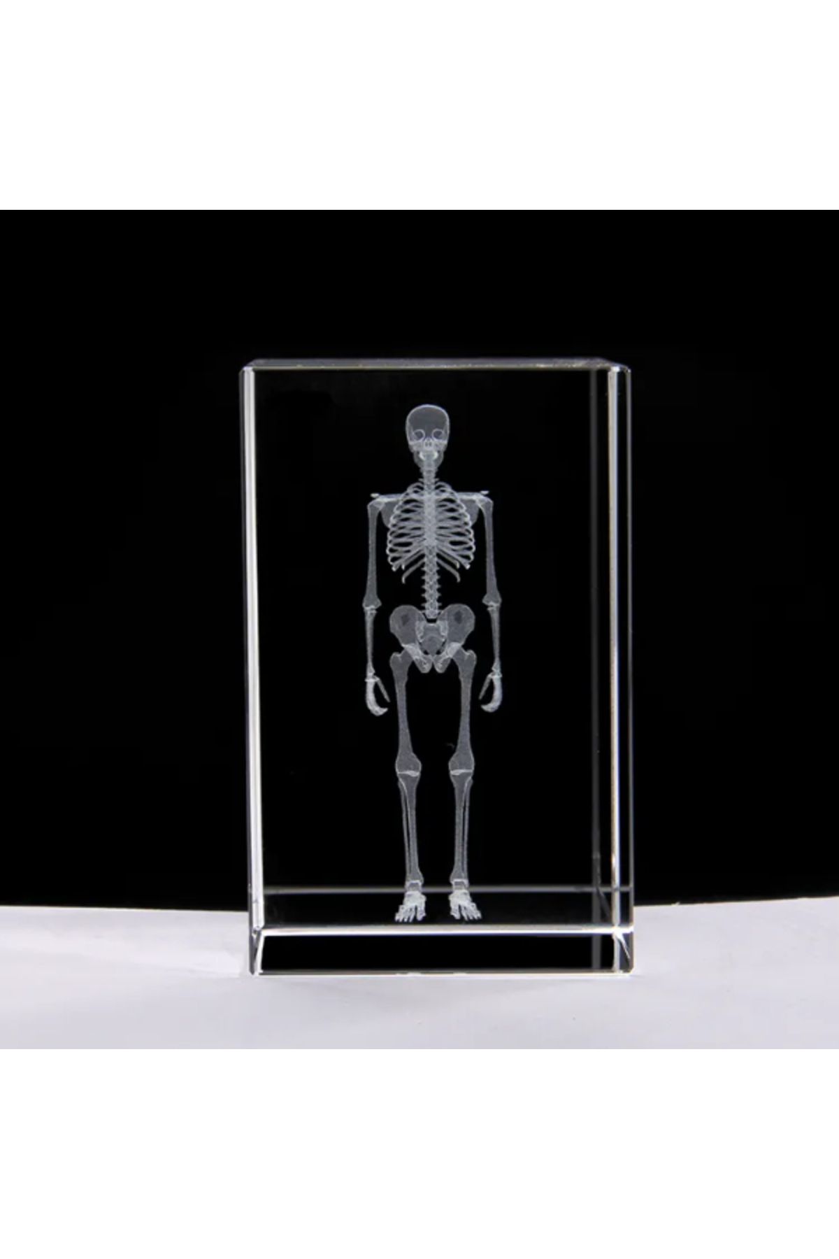 KfksStore 3D Kristal İnsan İskeleti Modeli