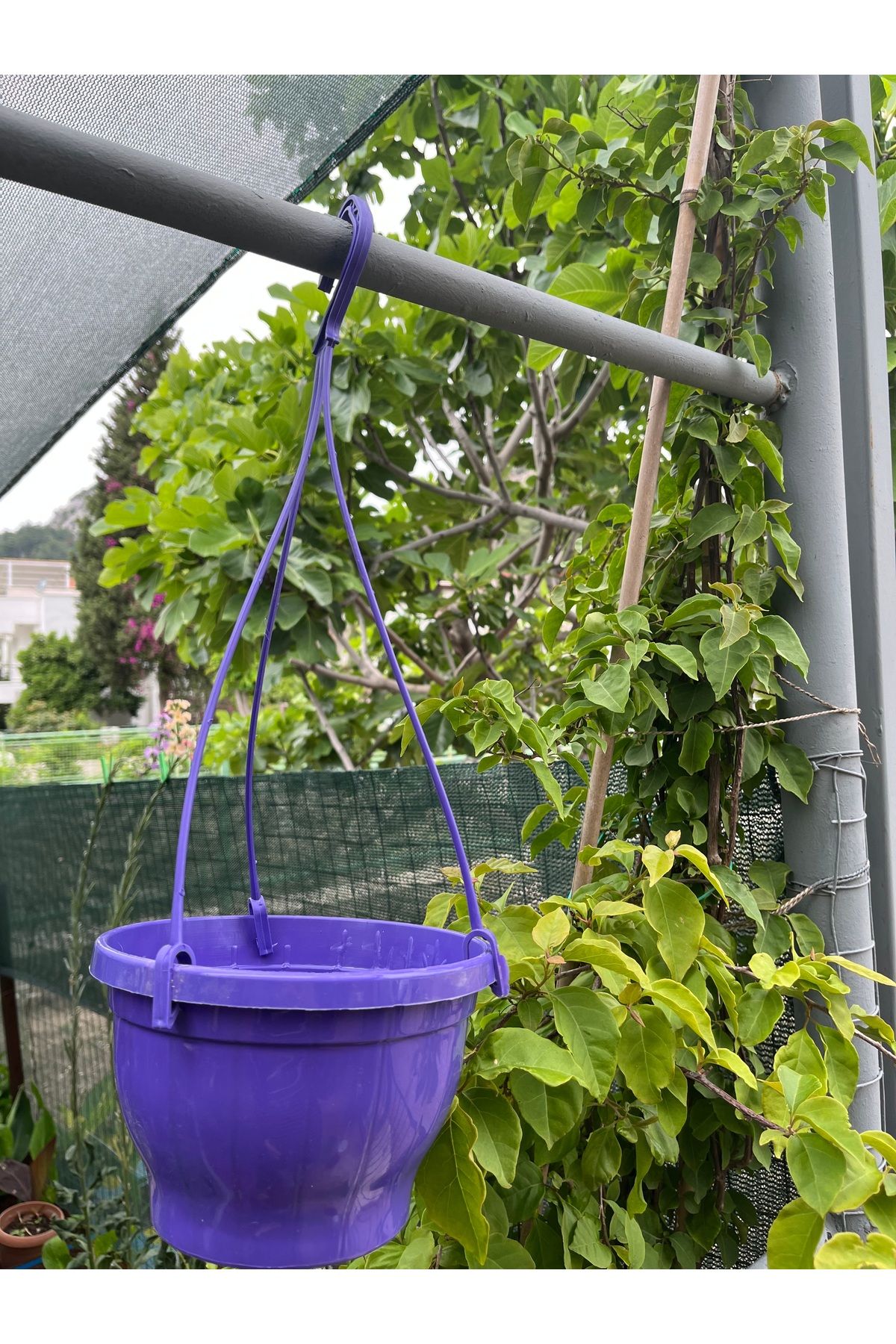 Birtutamrenk Mor Askılı Saksı 2litre