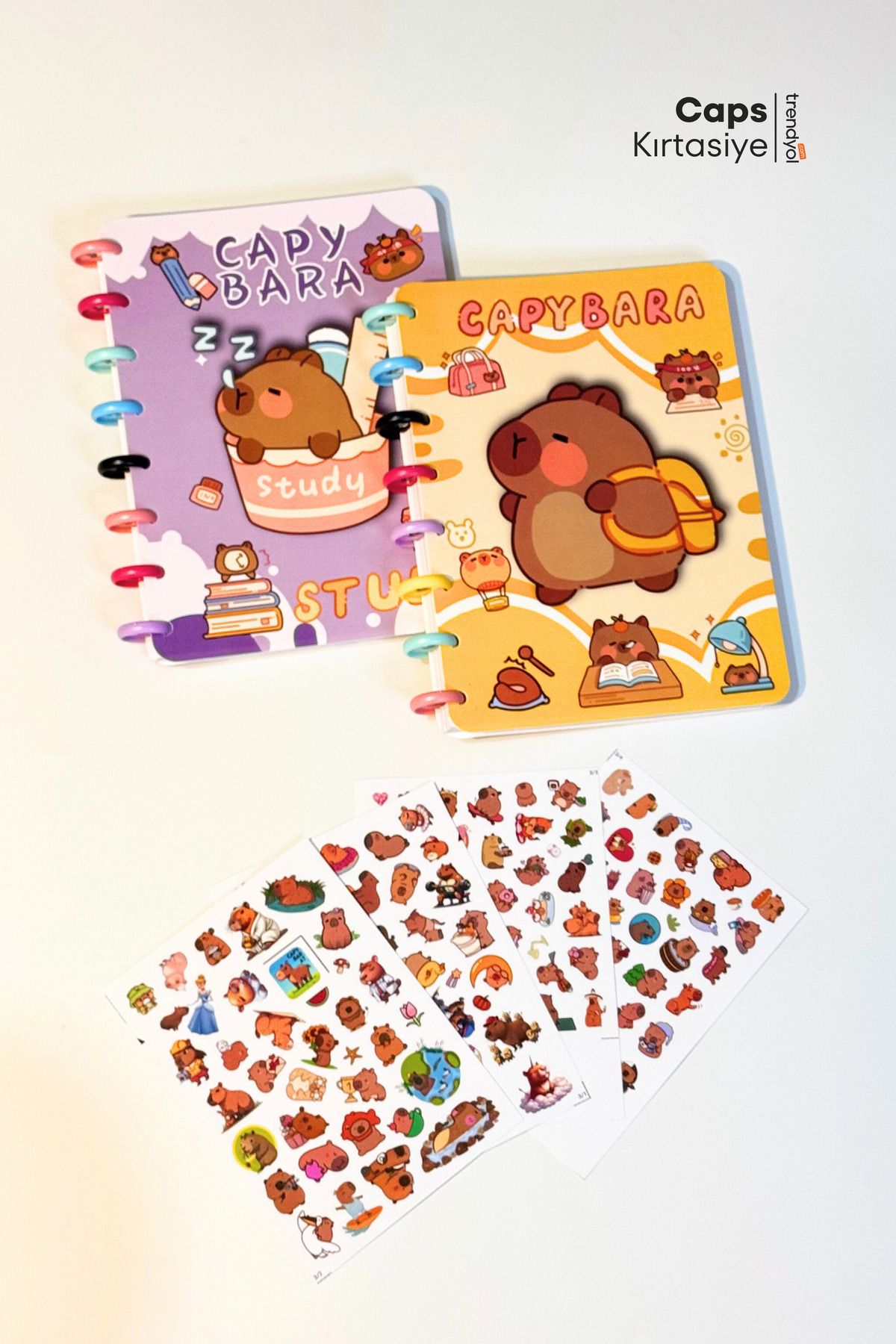 caps office 2 Adet Capybara Temalı Çember Ciltli 160 Sayfa Defter & 4 Sayfa Yerli Çıkartma Seti