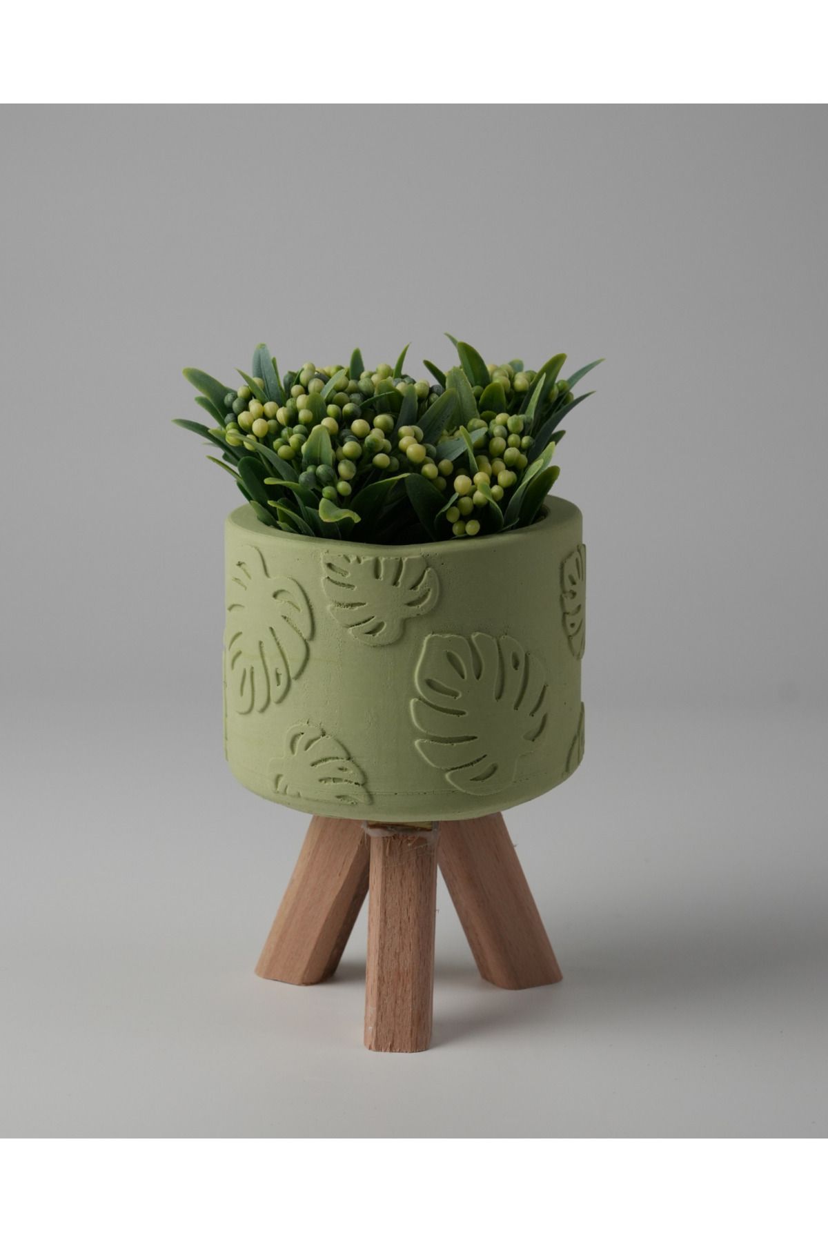 Kaju Creative Dekoratif Beton Saksı -Monstera 7,5x12 0.25L Küçük Ahşap Ayaklı Saksı