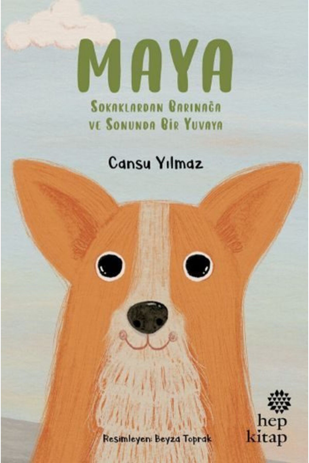 Hep Kitap Maya Sokaklardan Barınağa ve Sonunda Bir Yuvaya
