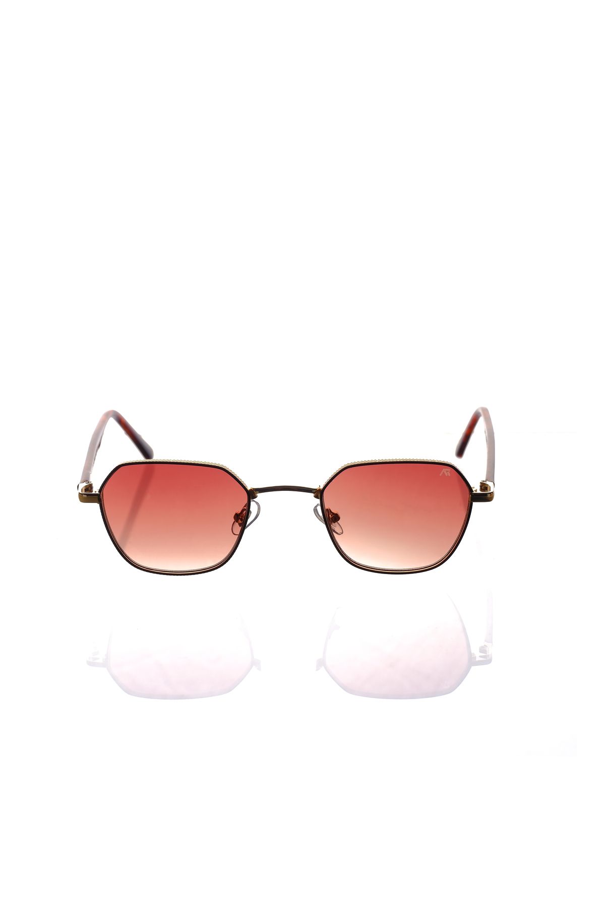 AR COLLECTİON PLUS UNISEX METAL GÜNEŞ GÖZLÜĞÜ AR243 C6