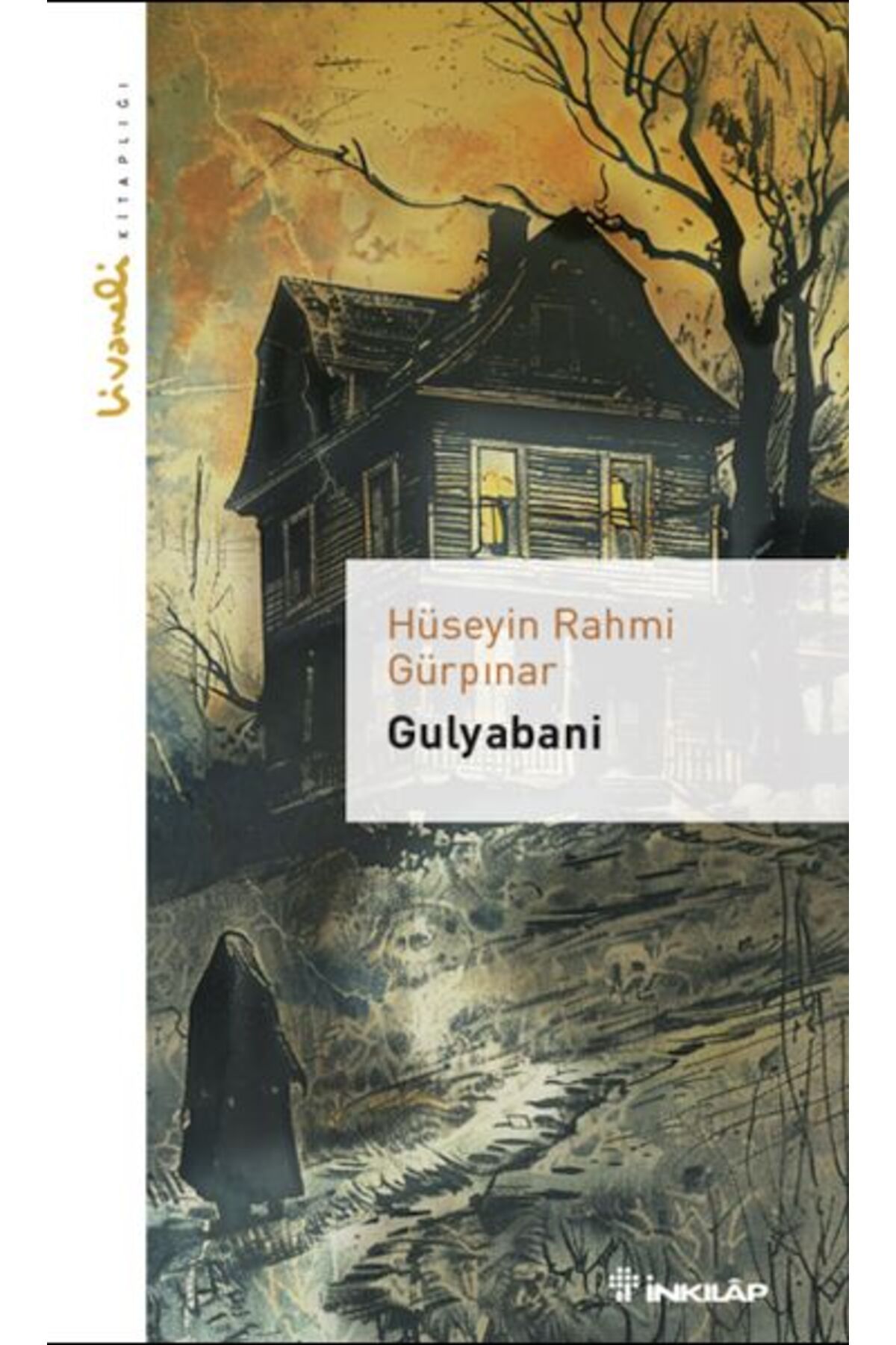 Destek Yayınları Gulyabani Livaneli Kitaplığı
