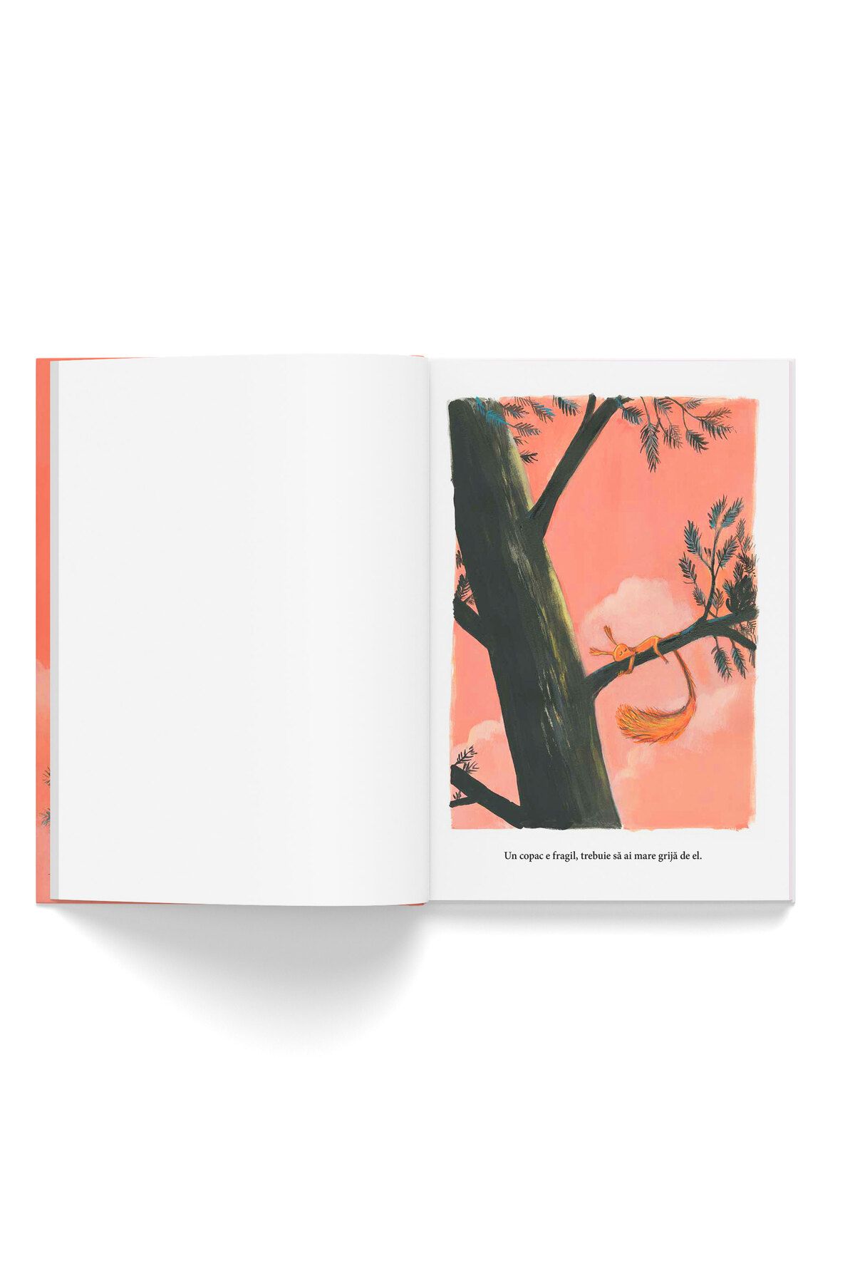 Editura Katartis-The Squirrel Collection, 4-book pack, Olivier Tallec 3