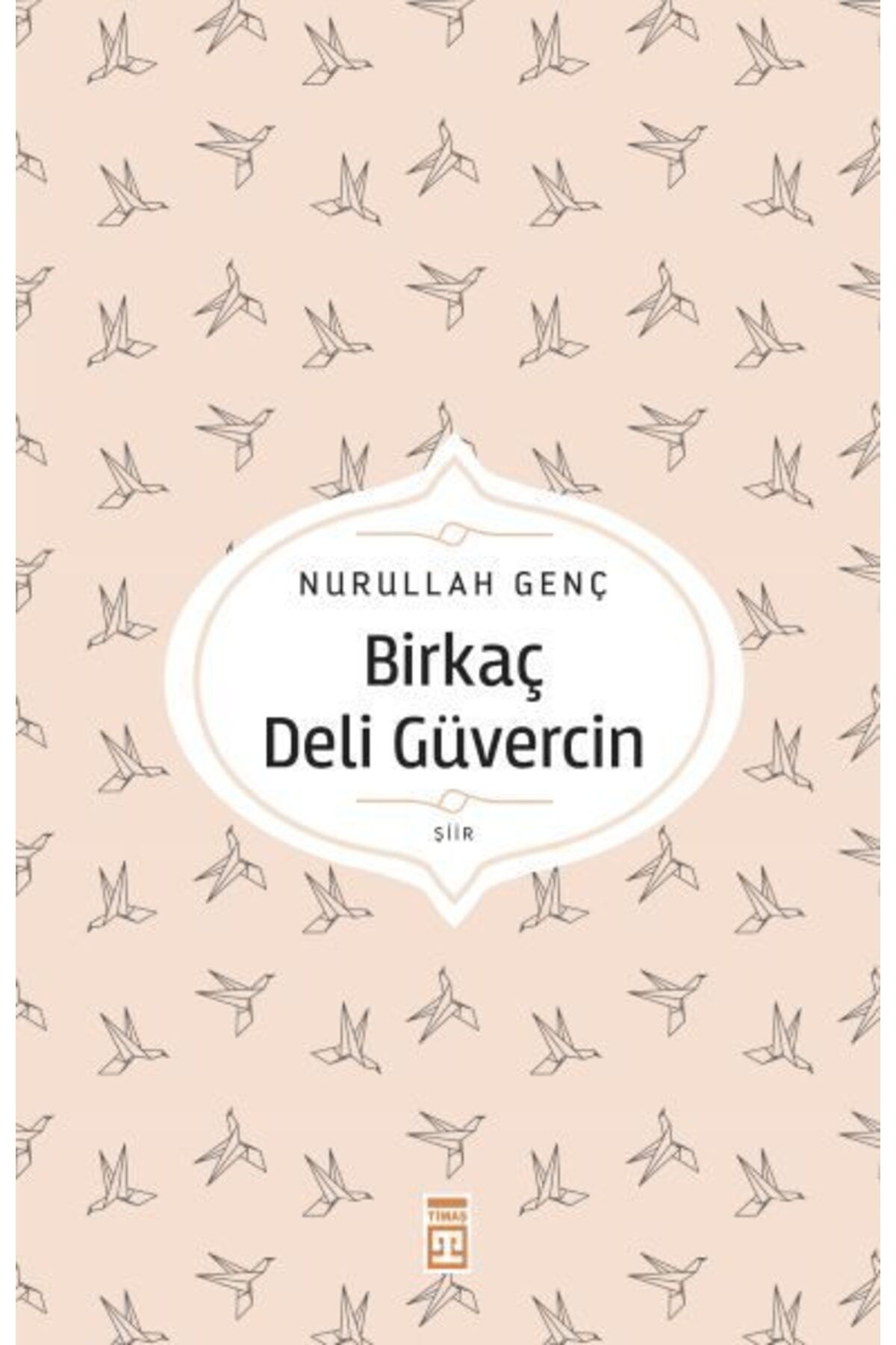 Destek Yayınları Birkaç Deli Güvercin