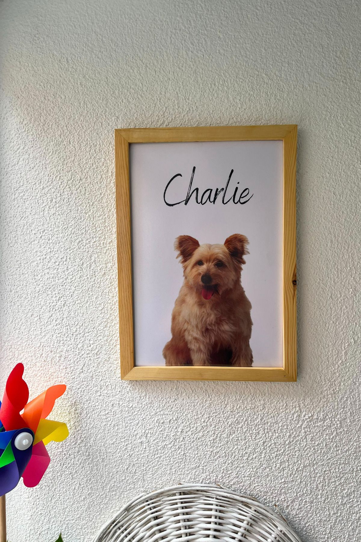 baucollection Kişiye Özel Pet Portre Tablo