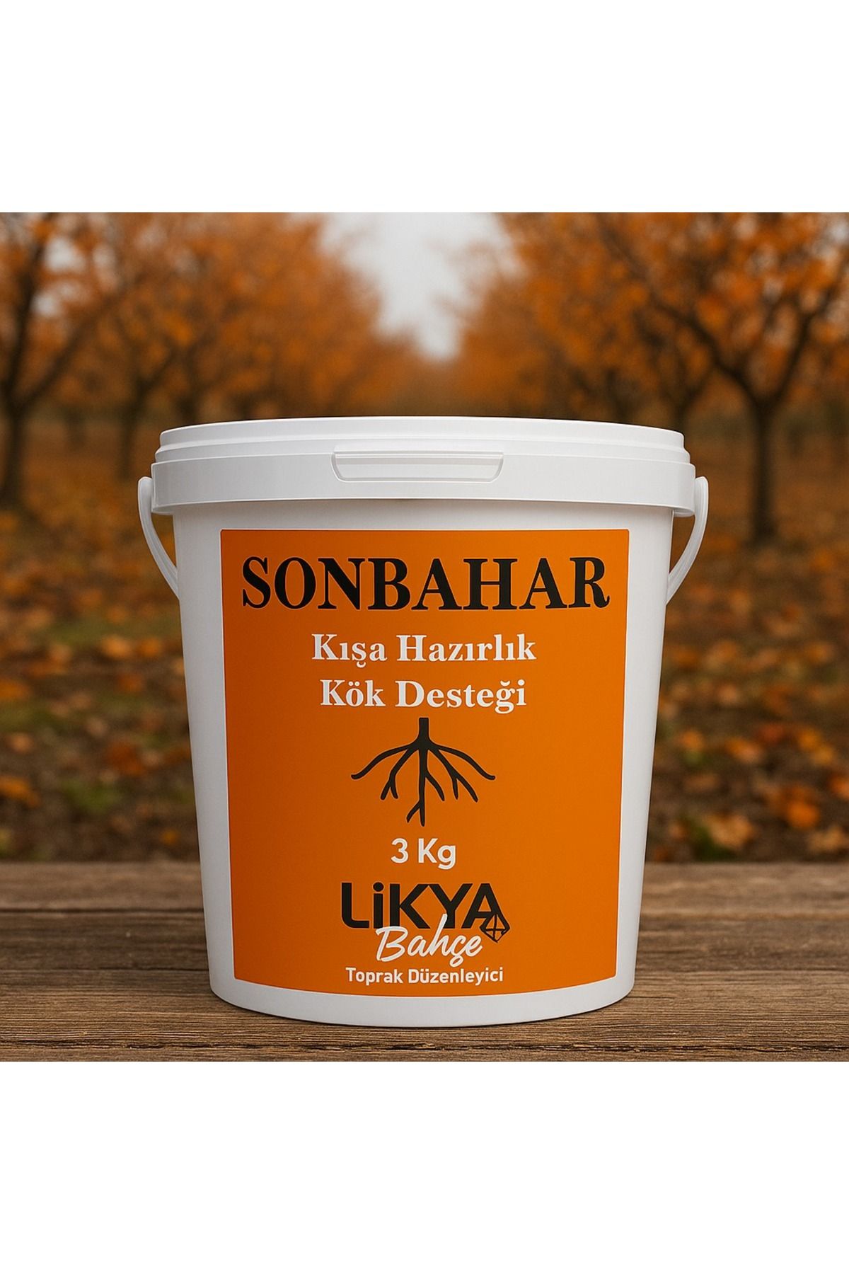 LİKYA BAHÇE SONBAHAR AĞAÇ BESİNİ