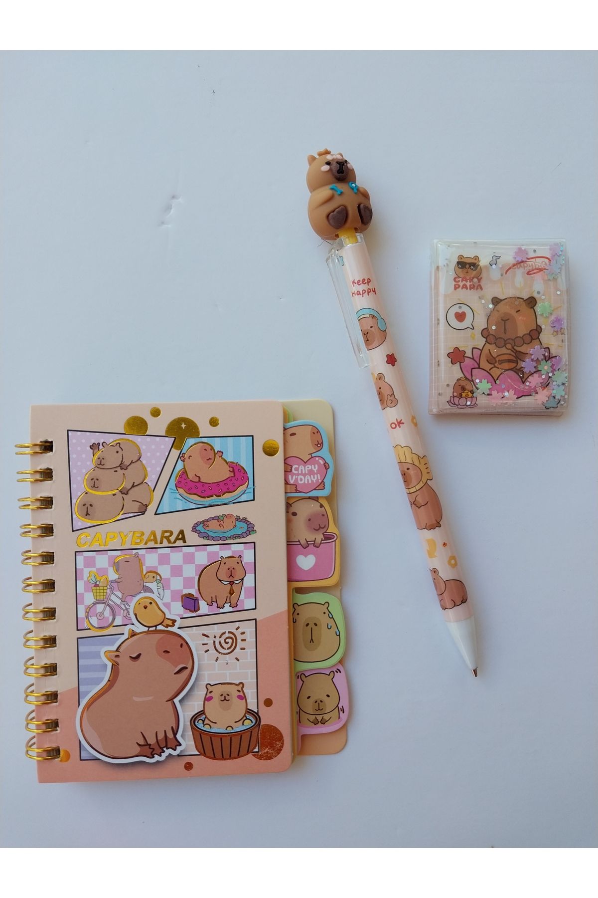 KIRTASİYEM Capybara ayraçlı renkli baskı defter+capybara 0.7 kalem+capybara sulu mini sticker defteri