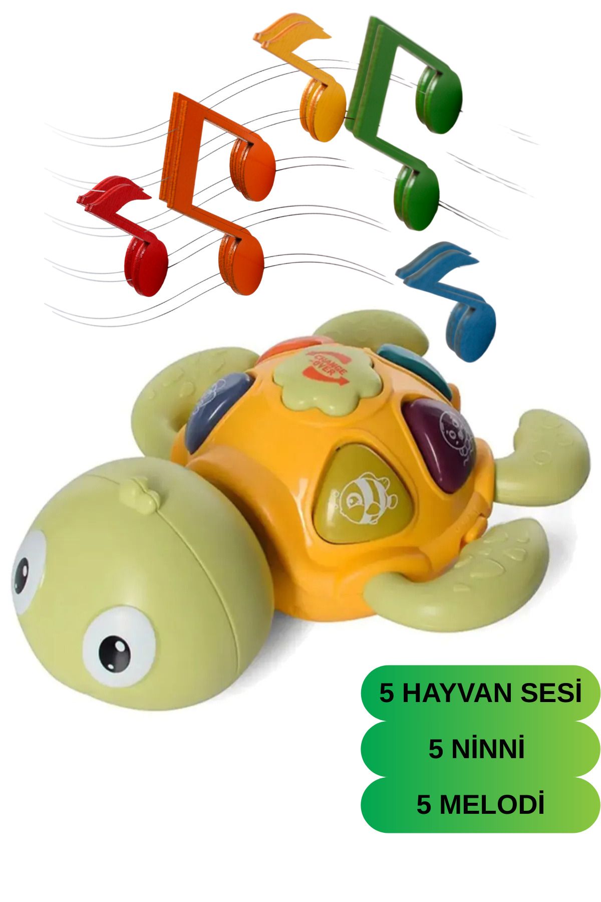 craftivio Işıklı Ve Müzikli Kaplumbağa Eğitici Tuşlu Bebek Oyuncağı