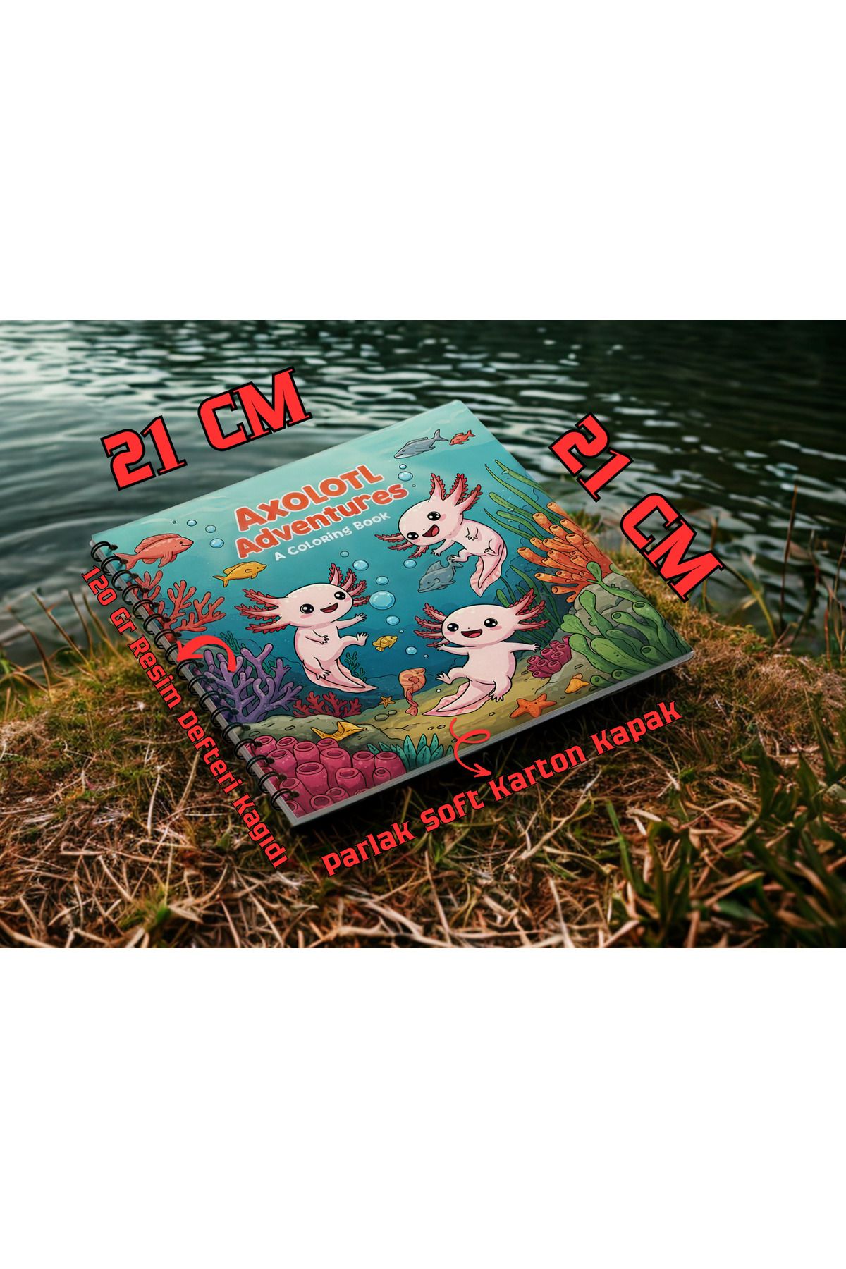 Pink Swan Craft Cozy Axolotls (Aksolotlar) Bold And Easy 21 x 21 Cm Büyük Boyama Kitabı