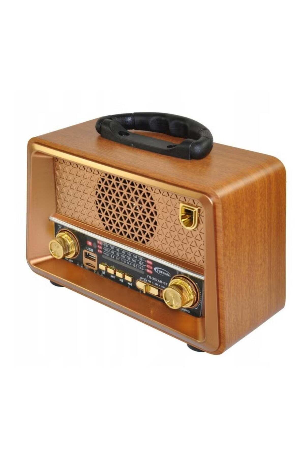 Denx-Rechargeable Radio with Remote Control, Large Capacity Battery, Portable, Classic FM Radio, Supports 2