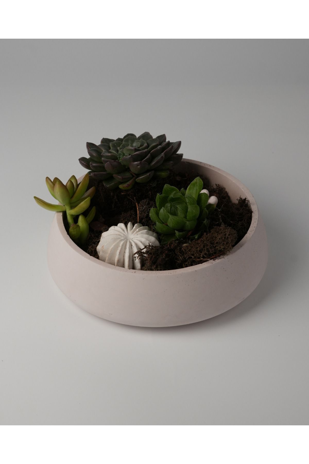 Kaju Creative Dekoratif Beton Kase - Amorf 5x19 1L- Sukulent - Mini Kaktüs - Bonsai - Aranjman Kasesi
