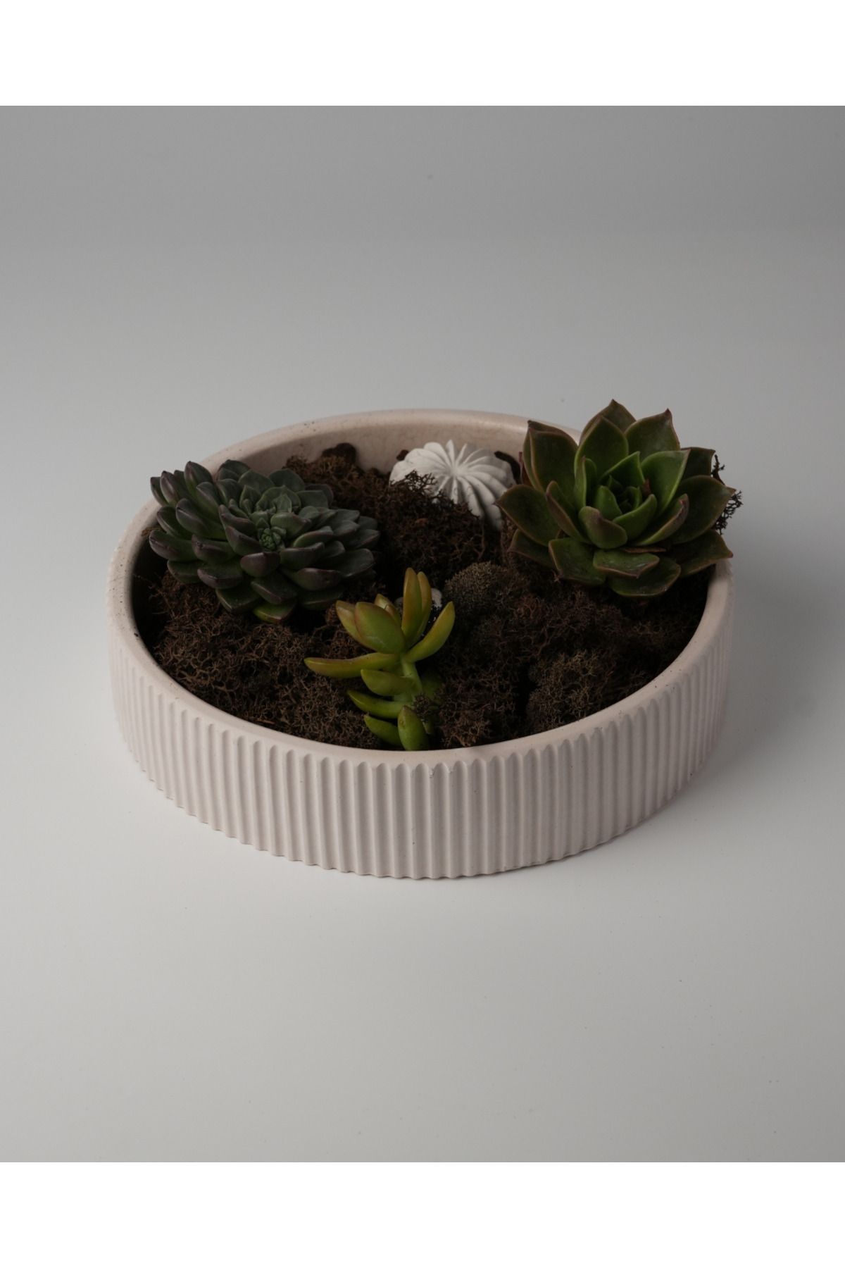 Kaju Creative Dekoratif Beton Çizgili Kase - Sukulent - Mini Kaktüs - Bonsai - Aranjman Kasesi - Büyük/Küçük