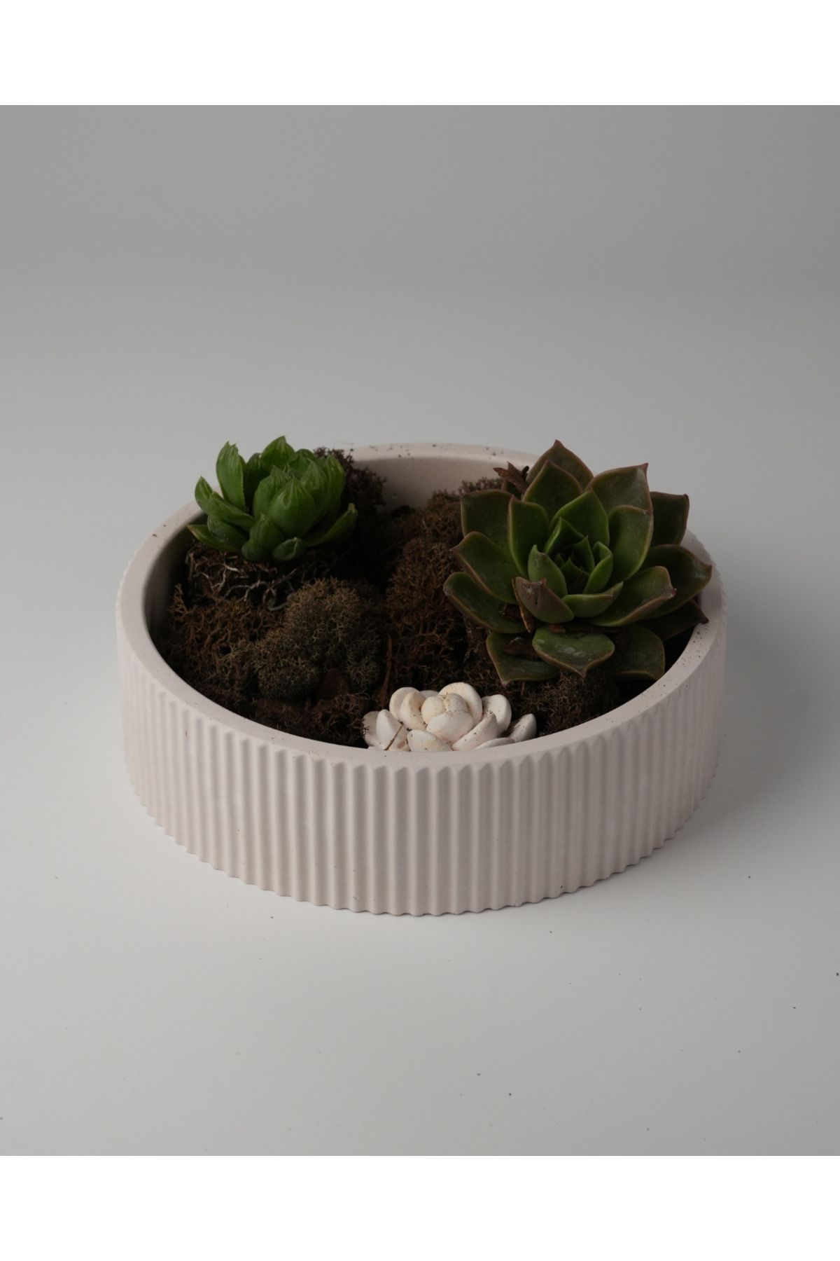 Kaju Creative Dekoratif Beton Çizgili Kase - Sukulent - Mini Kaktüs - Bonsai - Aranjman Kasesi - Büyük/Küçük