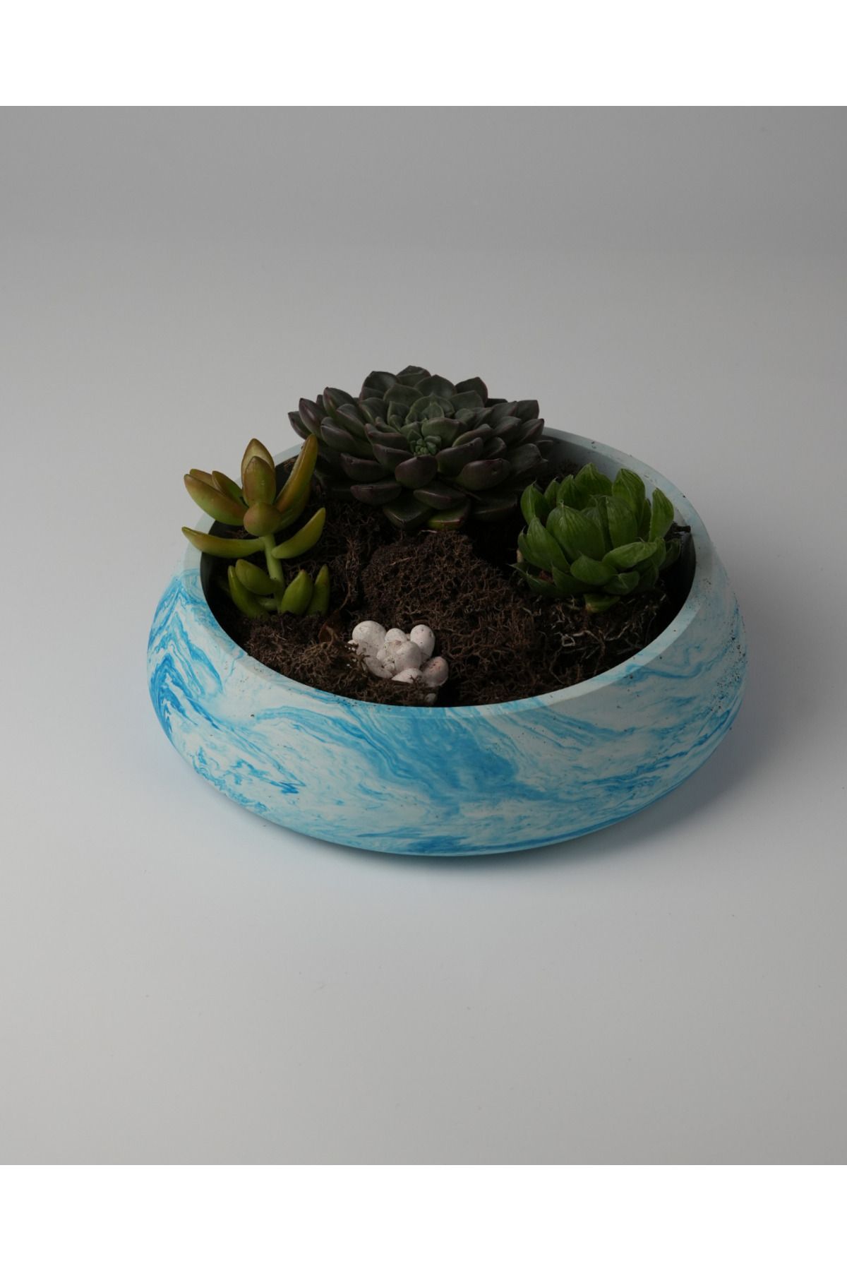 Kaju Creative Dekoratif Beton Kase - Amorf 5x19 1L- Sukulent - Mini Kaktüs - Bonsai - Aranjman Kasesi