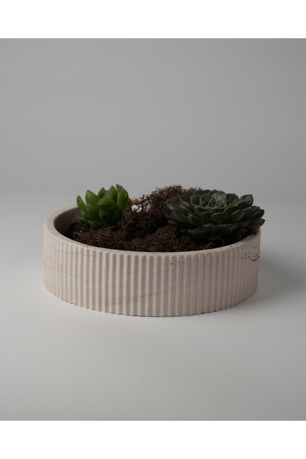 Kaju Creative Dekoratif Beton Çizgili Kase - Sukulent - Mini Kaktüs - Bonsai - Aranjman Kasesi - Büyük/Küçük