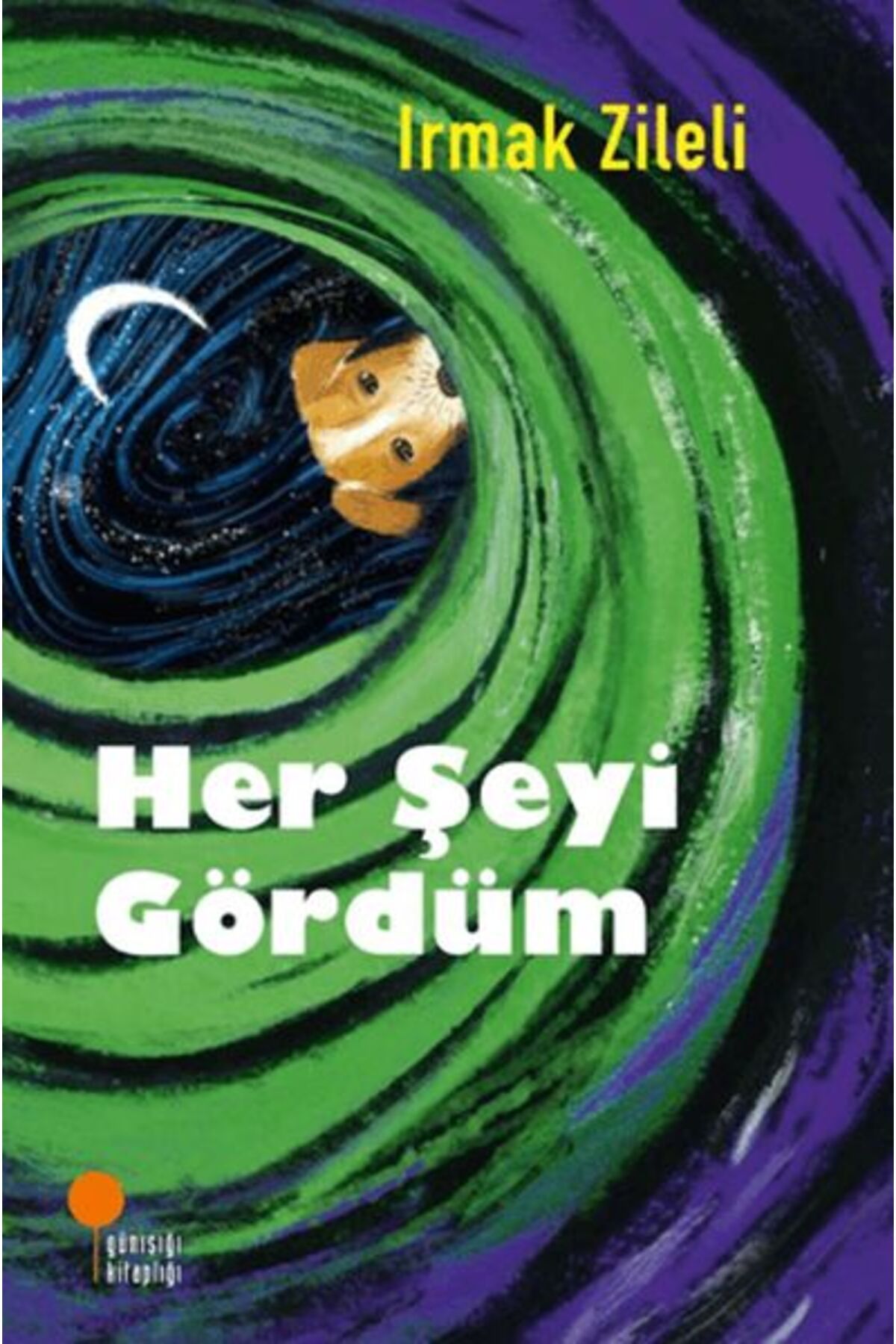 Destek Yayınları Her Şeyi Gördüm