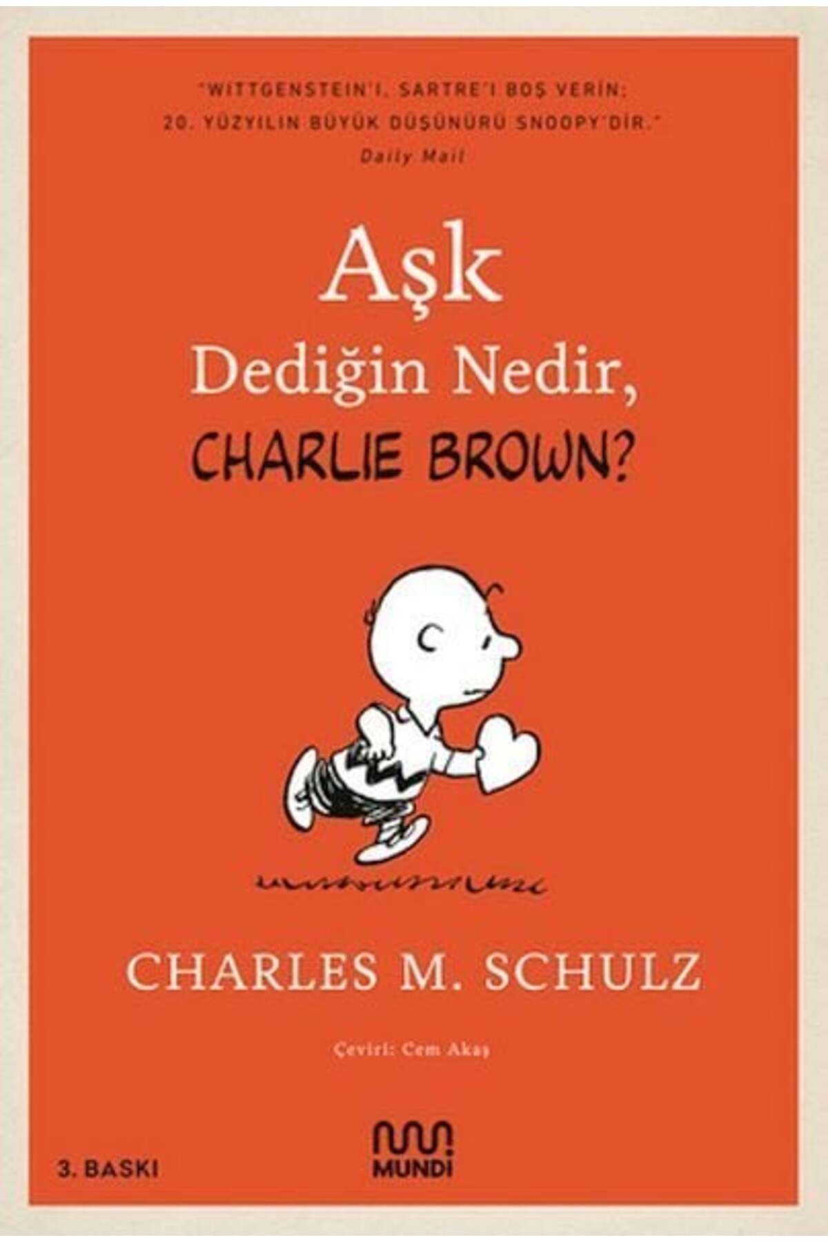 Destek Yayınları Aşk Dediğin Nedir Charlie Brown