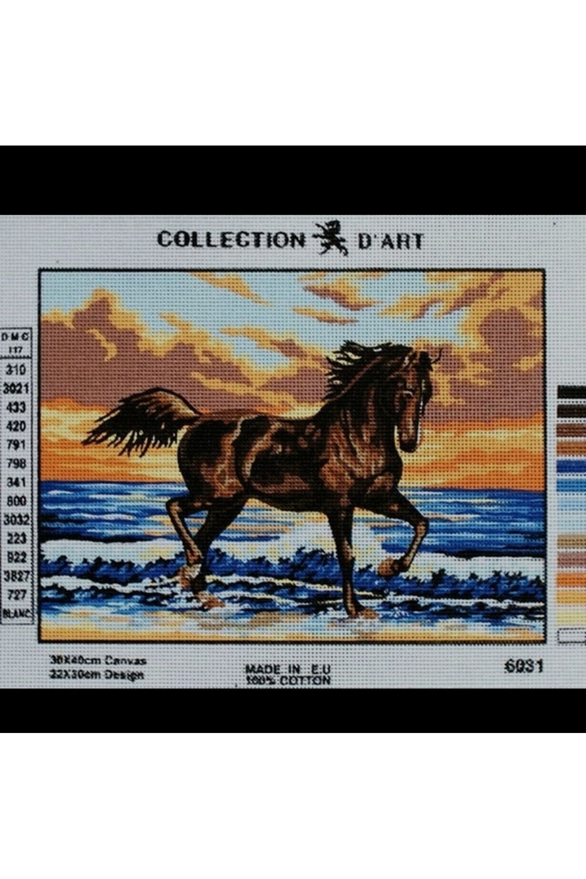 hobiciyim GOBLEN GRAFITEC 30×40 İPLİ KİT 6031