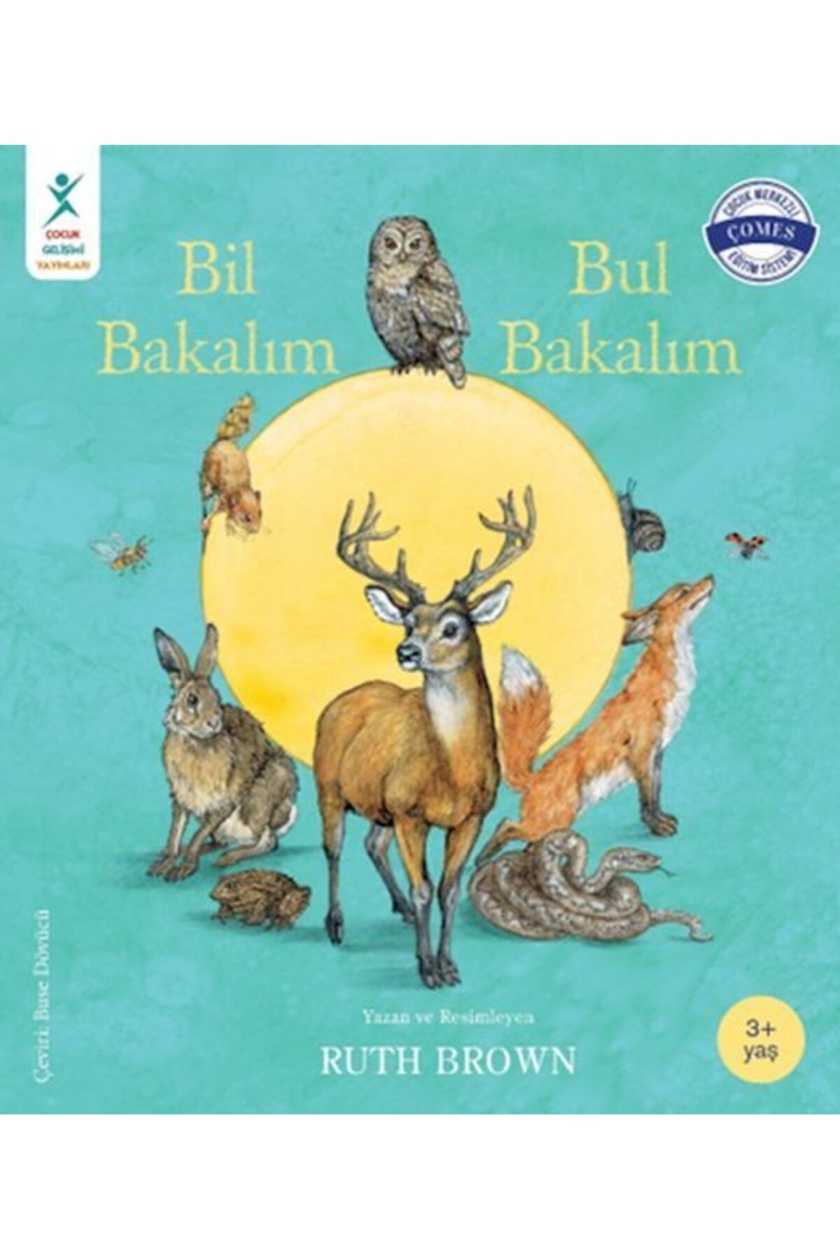 Destek Yayınları Bil Bakalım Bul Bakalım
