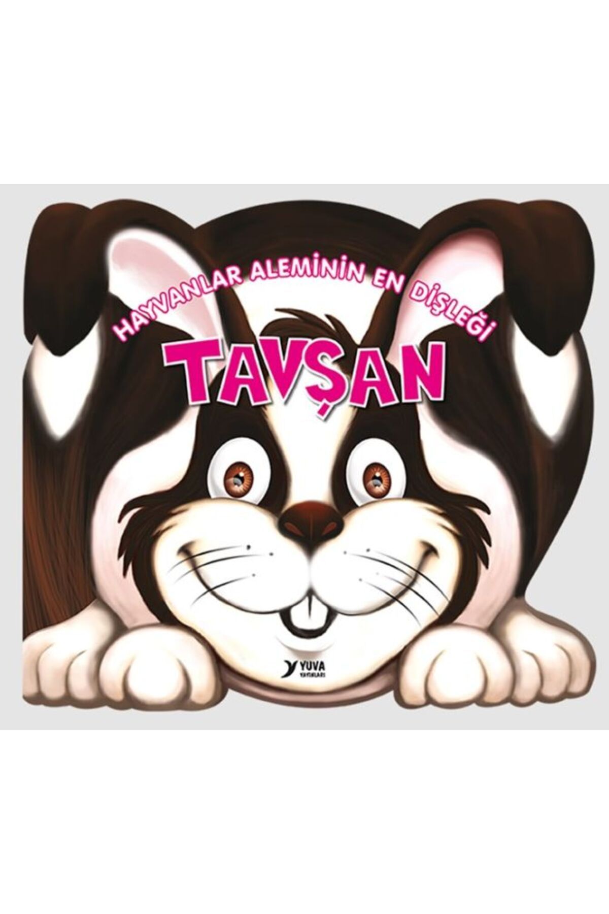Destek Yayınları Hayvanlar Aleminin En Dişleği Tavşan