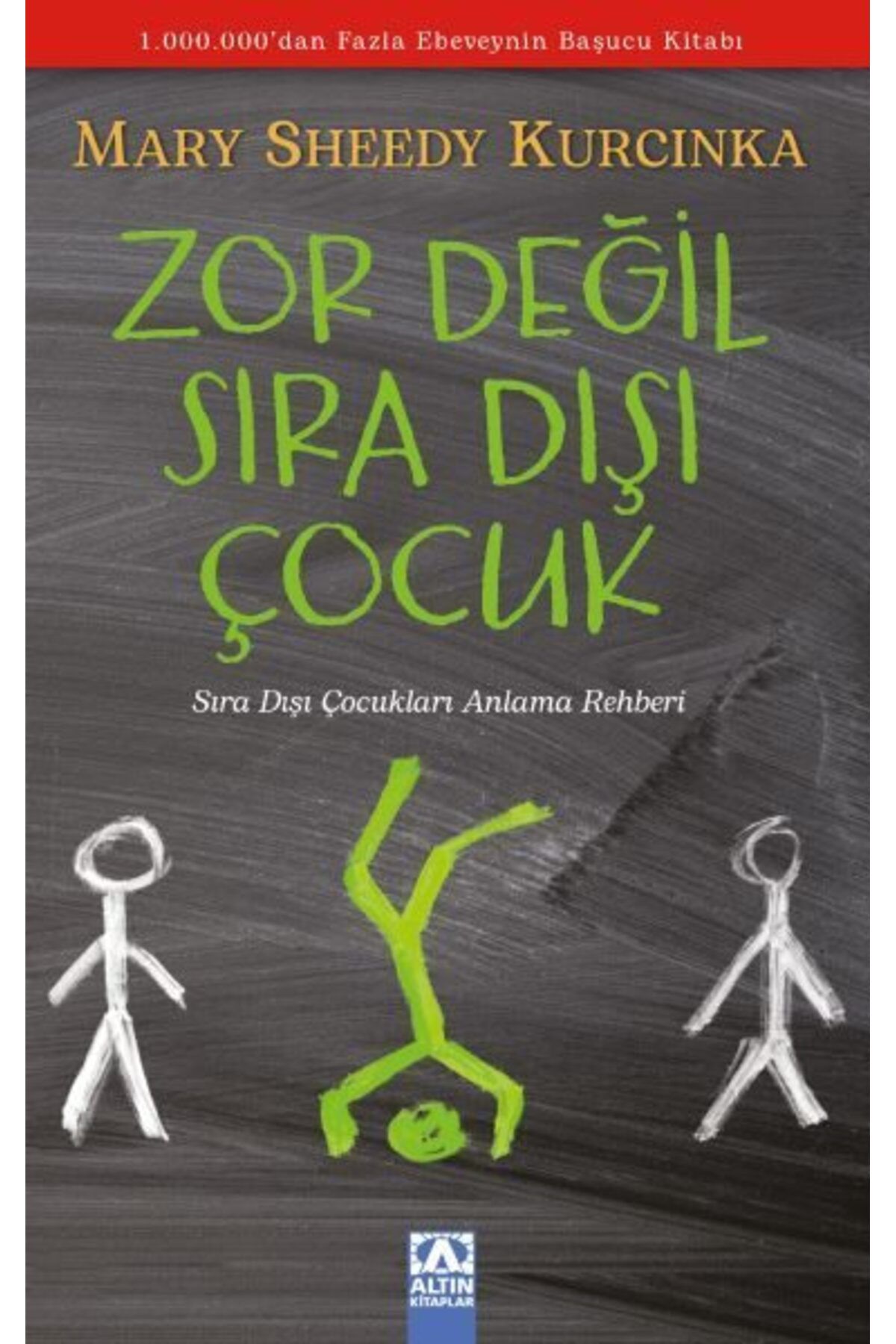 Destek Yayınları Zor Değil Sıradışı Çocuk