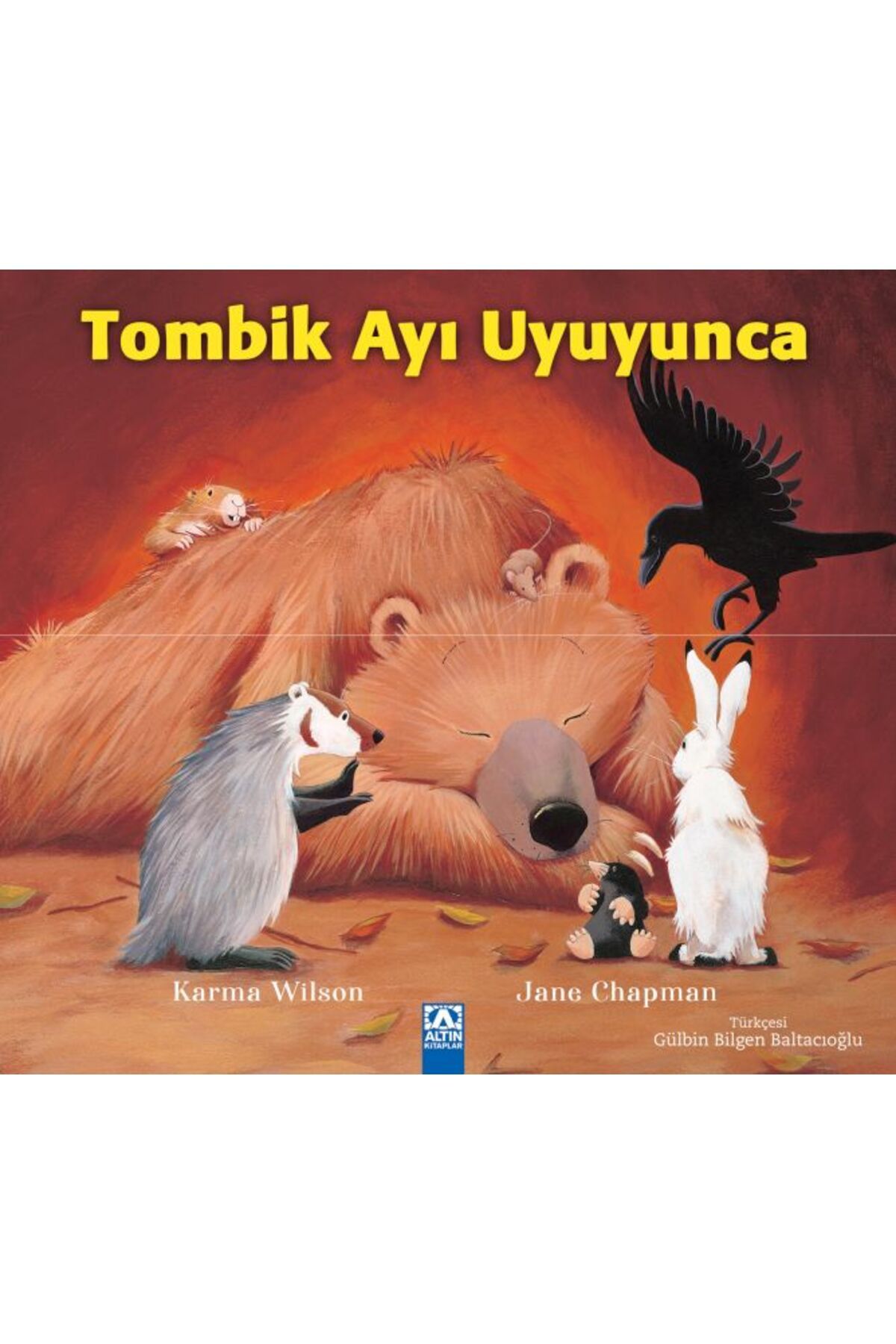 Destek Yayınları Tombik Ayı Uyuyunca