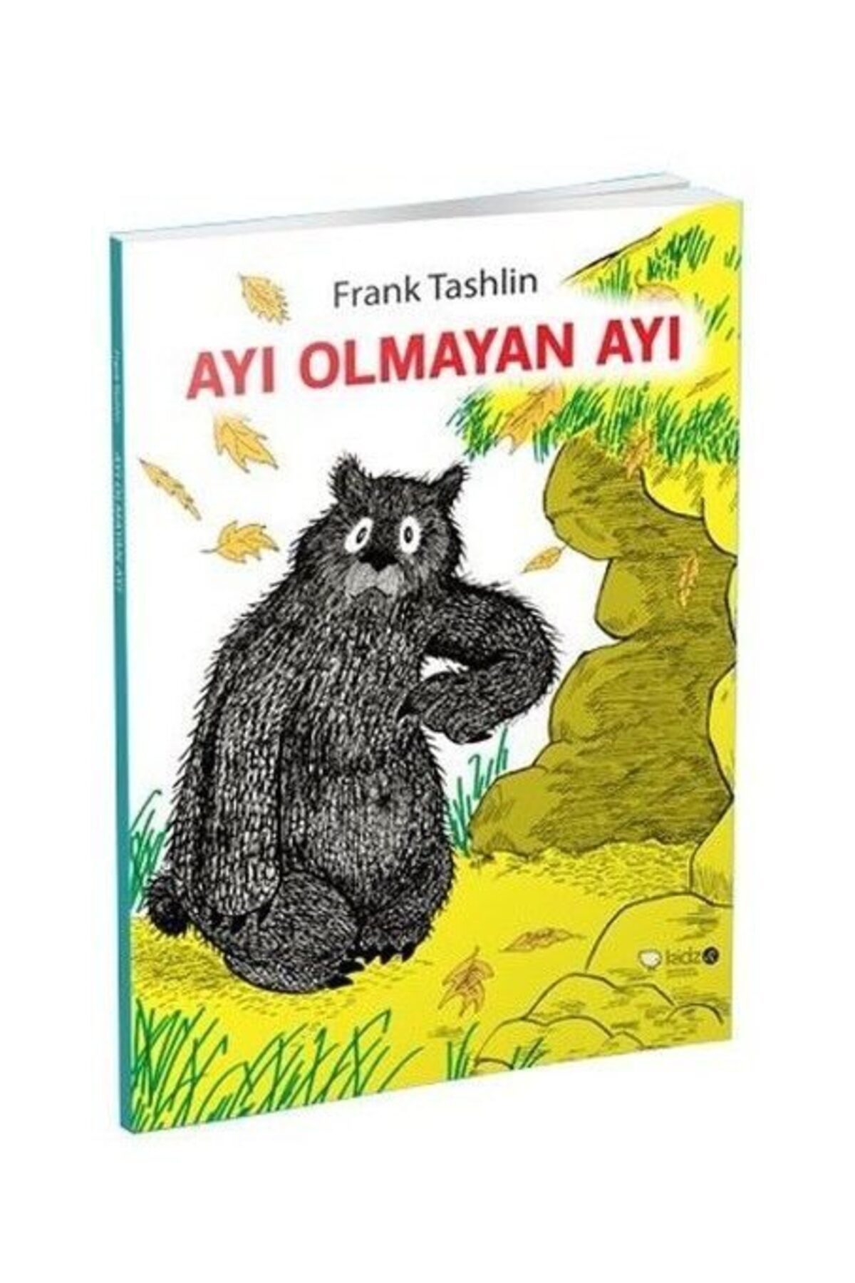 Destek Yayınları Ayı Olmayan Ayı