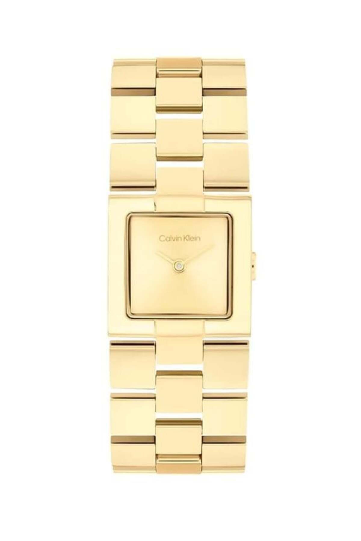 Calvin Klein CK25100089 Kadın Kol Saati