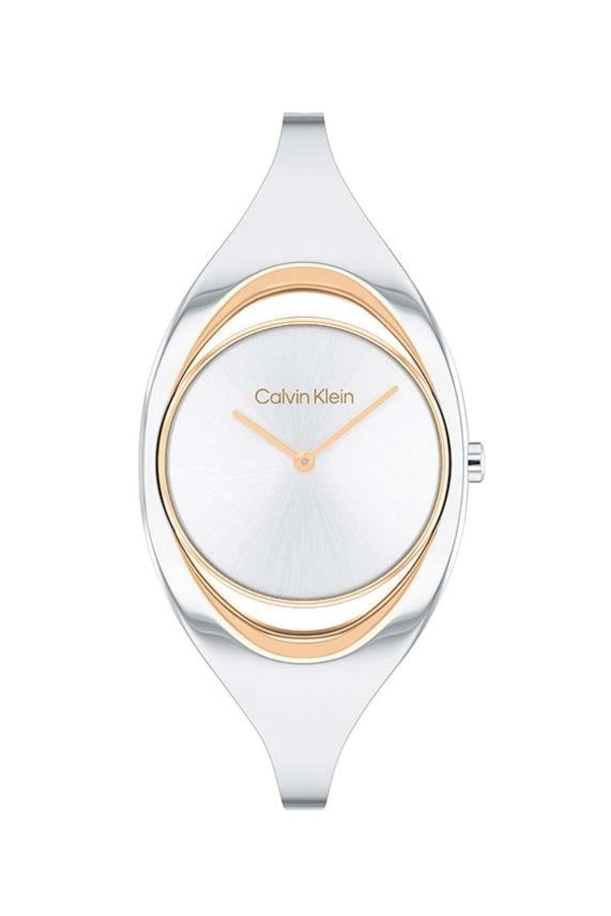 Calvin Klein CK25200393 Kadın Kol Saati
