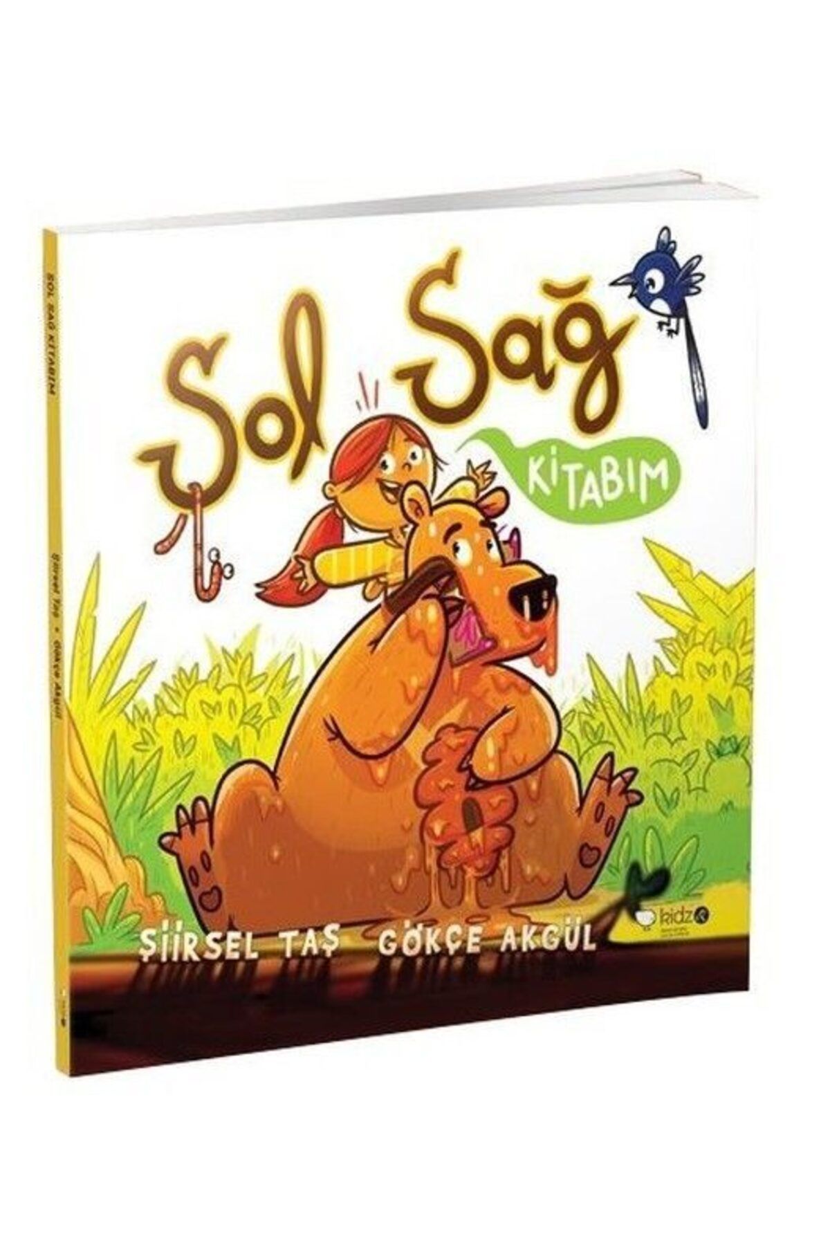 Destek Yayınları Sol Sağ Kitabım