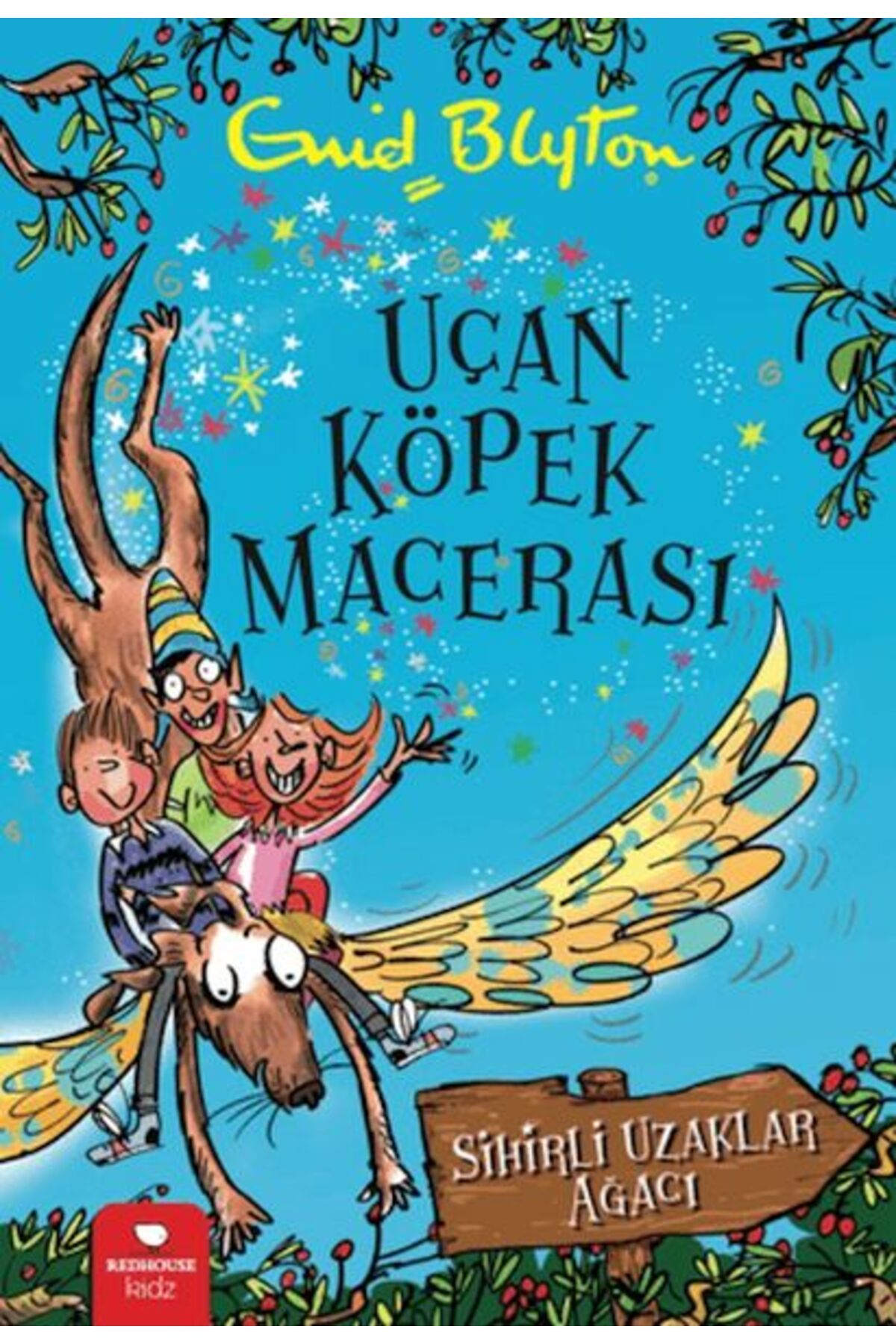 Destek Yayınları Uçan Köpek Macerası