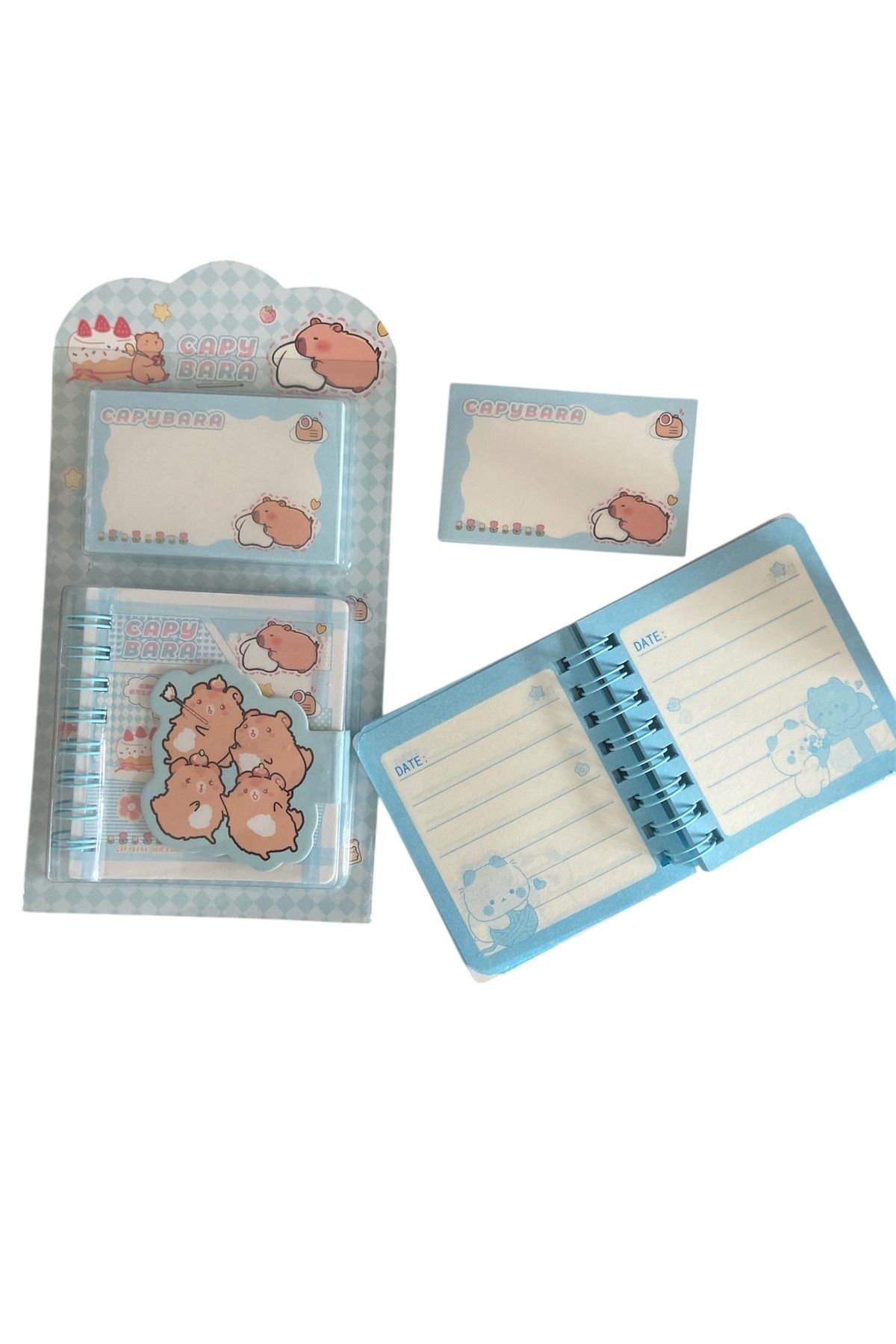 synshop Capybara Kapibara Not Defteri Postit Blok Not Kağıt