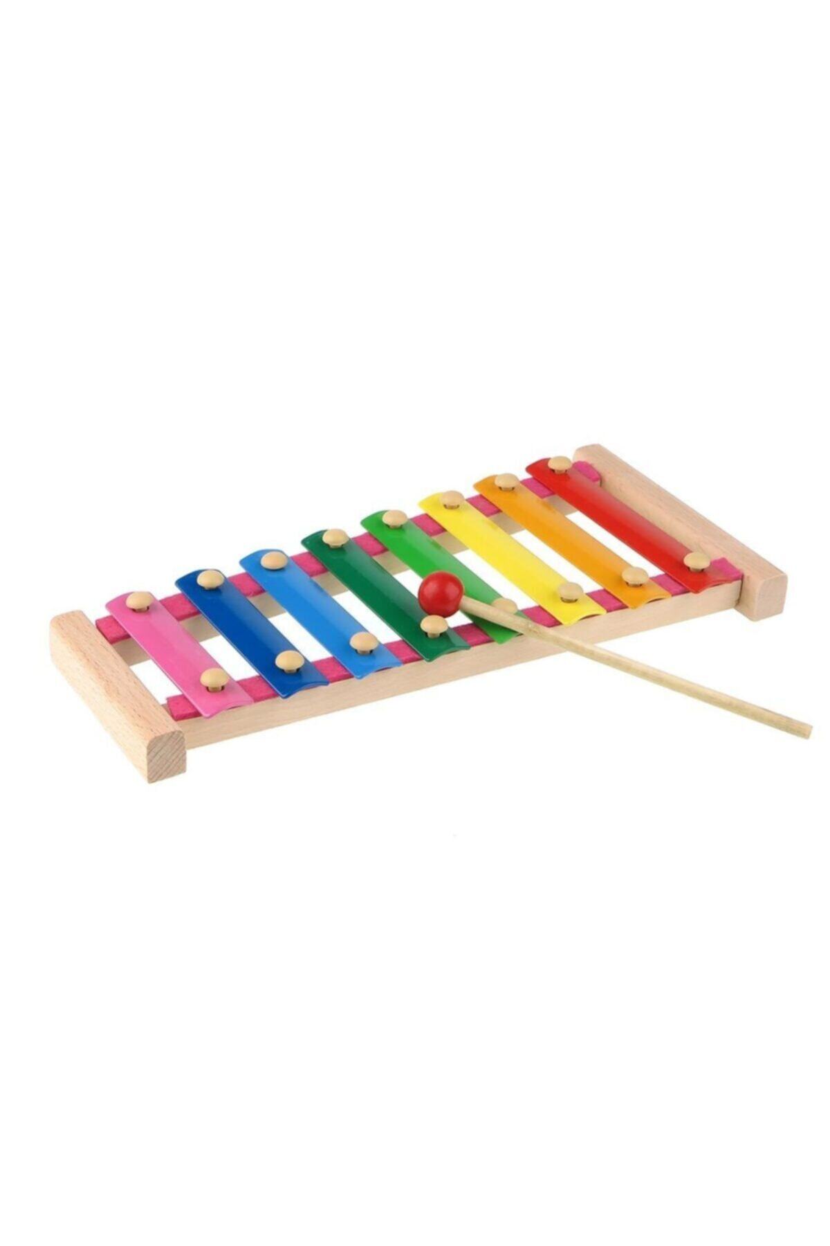 Hi-Q Toys Ksilofon - Nota Kartlı 10 Farklı Melodi fotoğrafı 4 (önizleme)