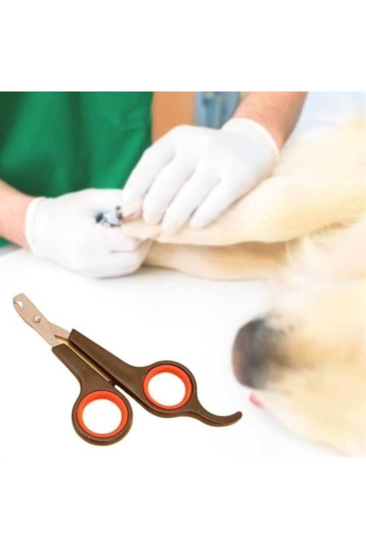 BirdoluSepet Küçük Çelik Uçlu Kedi Köpek Evcil Hayvan Tırnak Makası Pati Bakım Aleti Ergonomik Kaymaz Sap