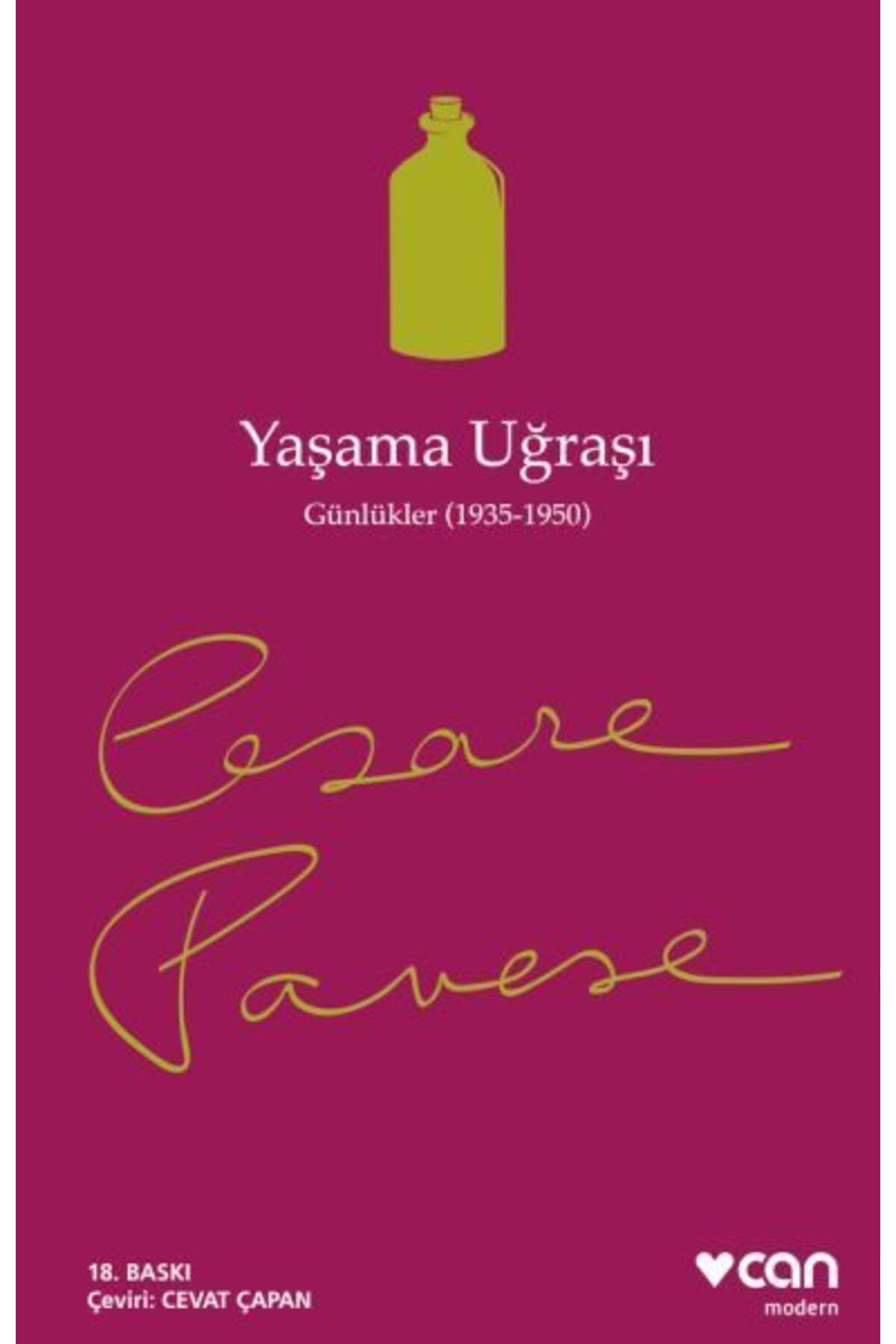 Destek Yayınları Yaşama Uğraşı Günlük 19351950