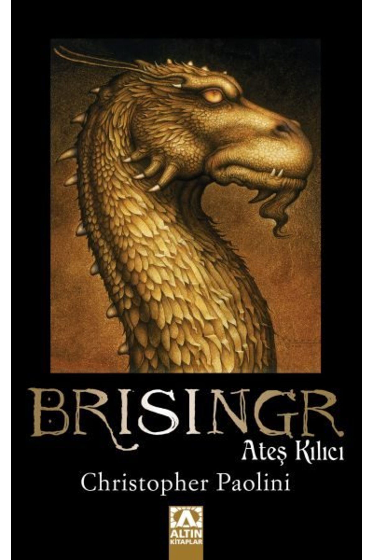 Destek Yayınları Brisingr Ateş Kılıcı