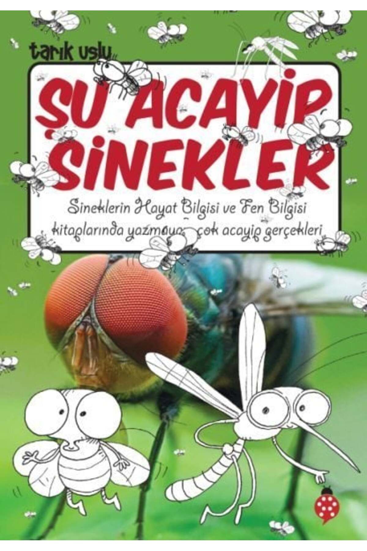 Karatay Yayınları Şu Acayip Sinekler