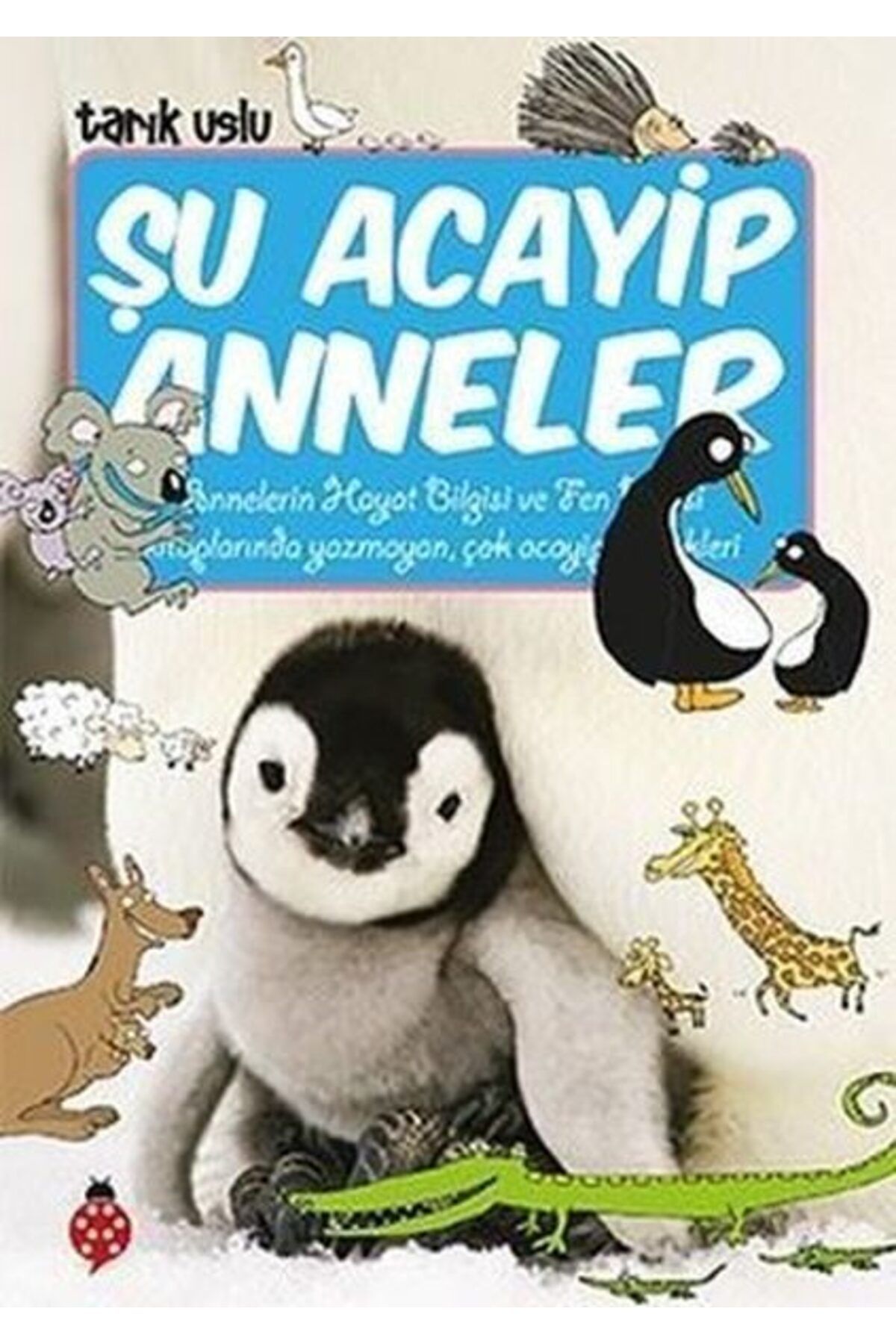 Karatay Yayınları Şu Acayip Anneler